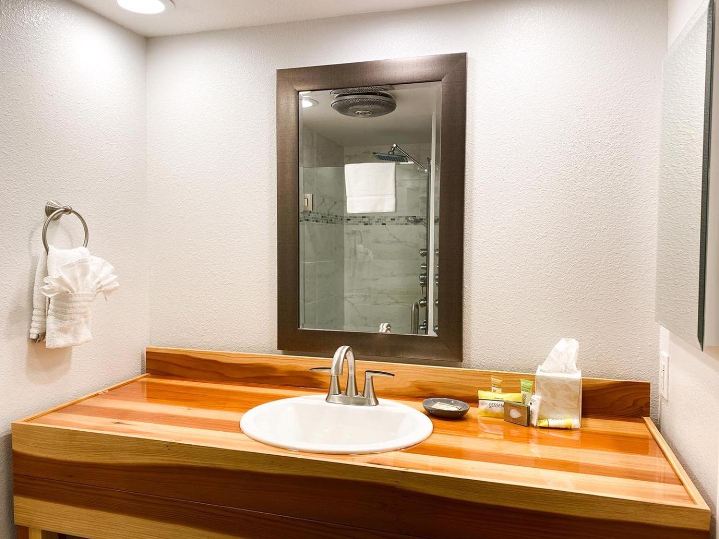 458 - Walk to Ski - Renovated Condo Near Canyon Lodge view 5