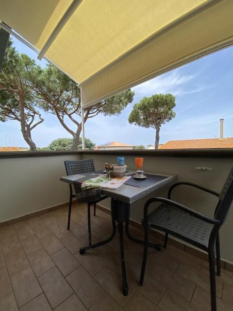 Balcony & Terrace