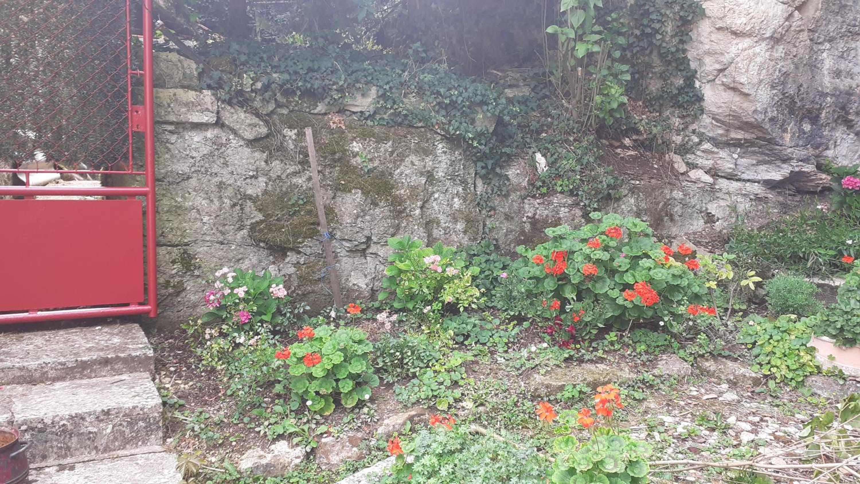 Photo 25