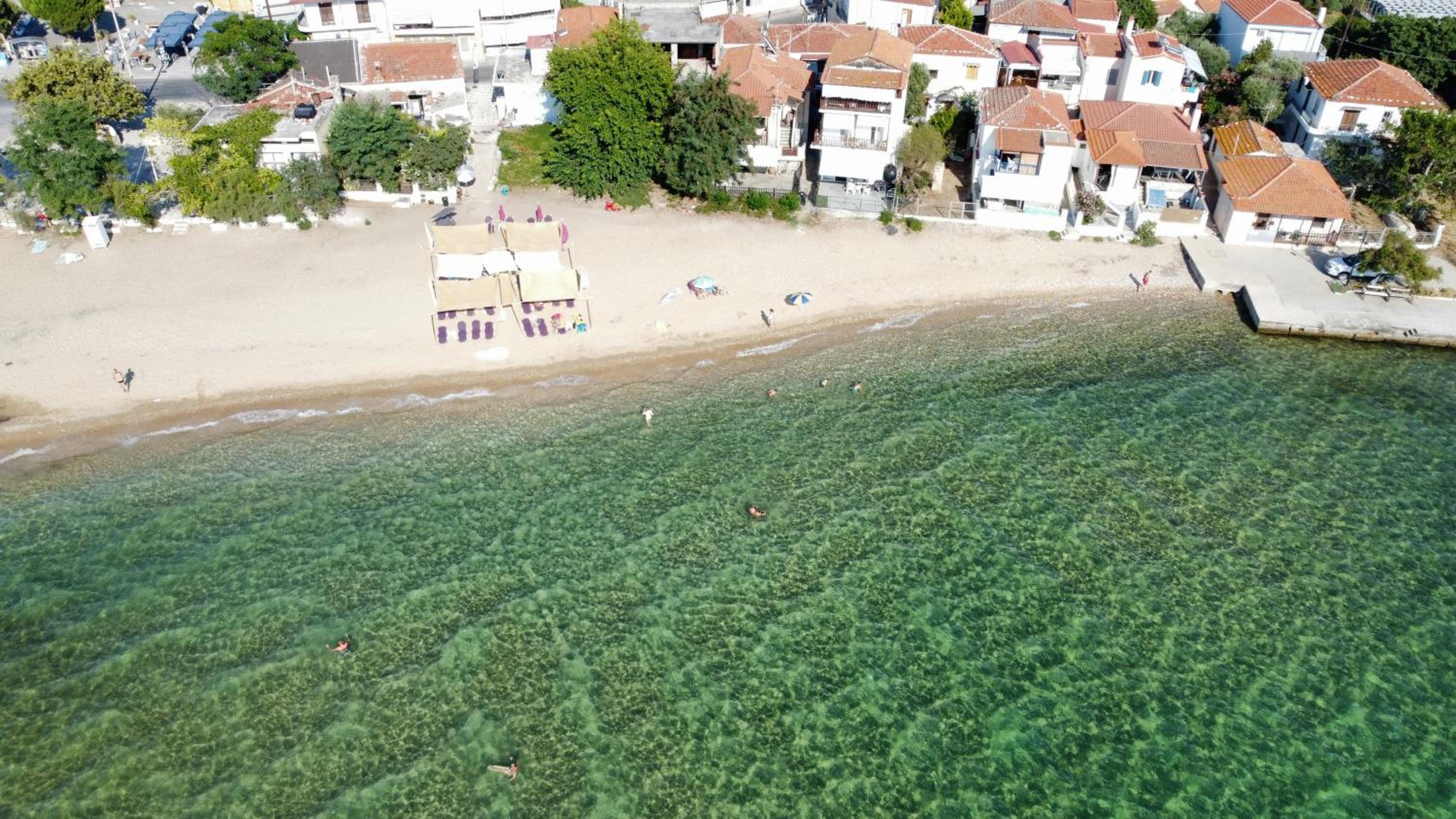 Beachfront Apartment Thassos
