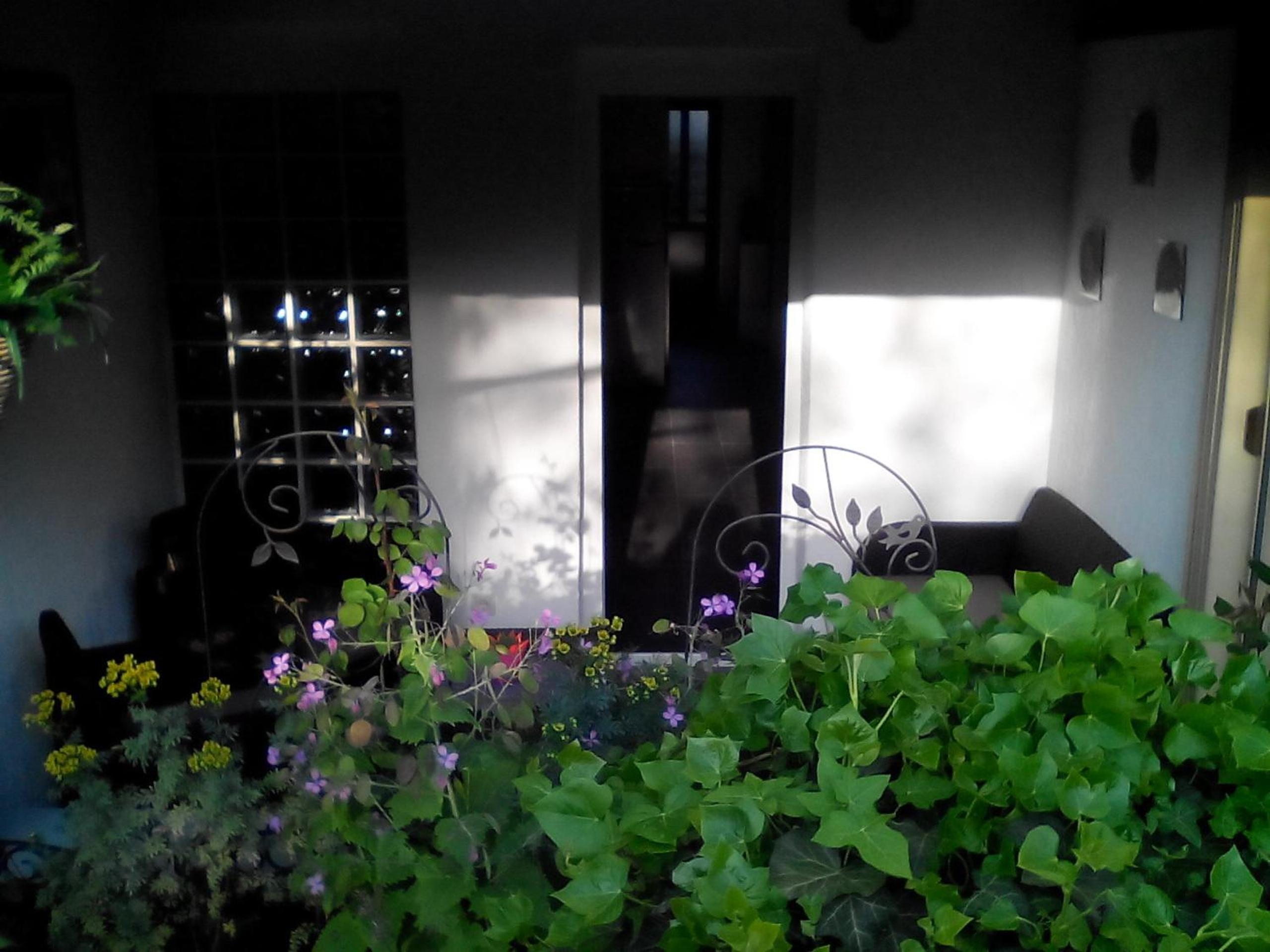 Photo 32