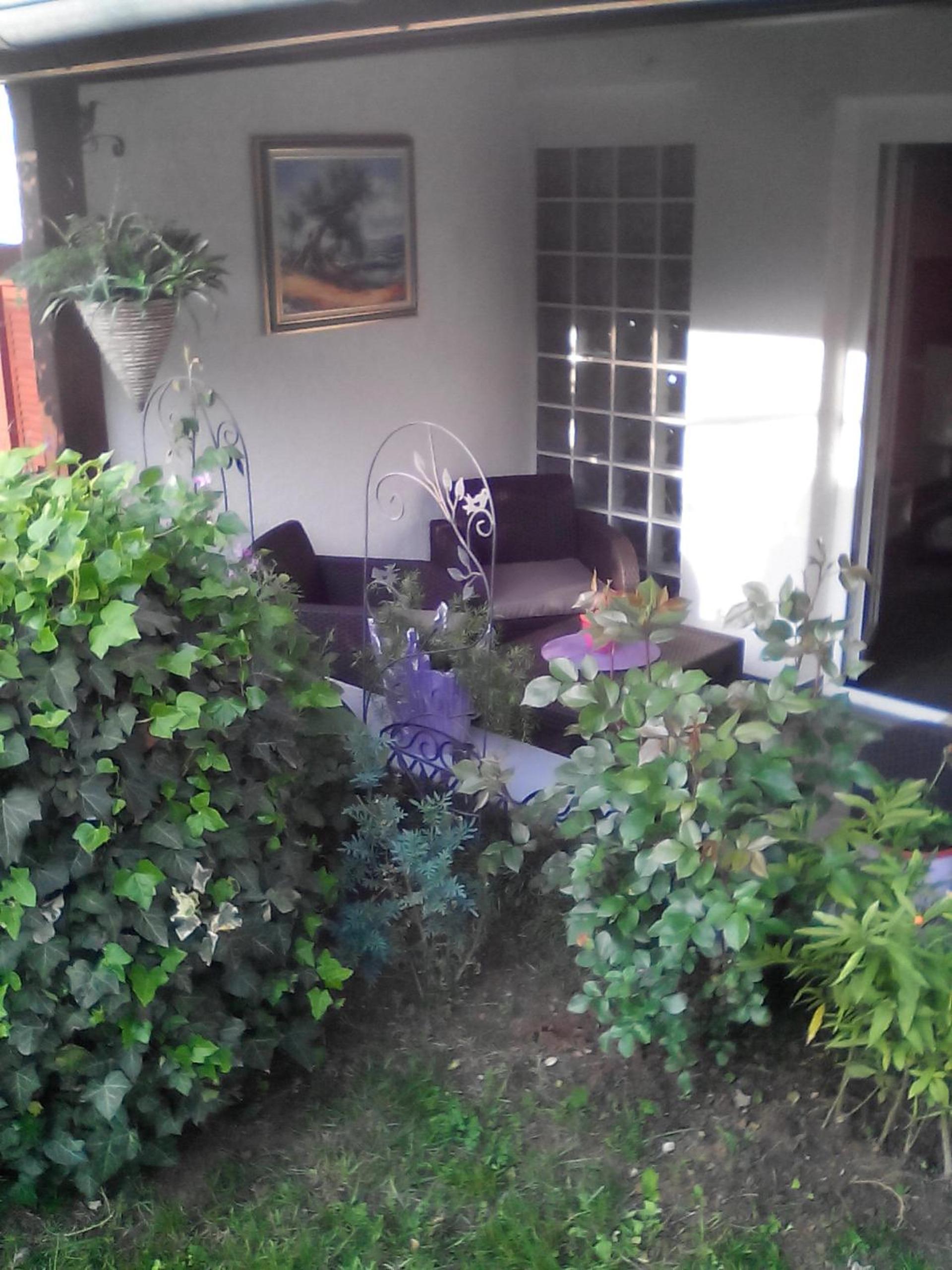 Photo 37