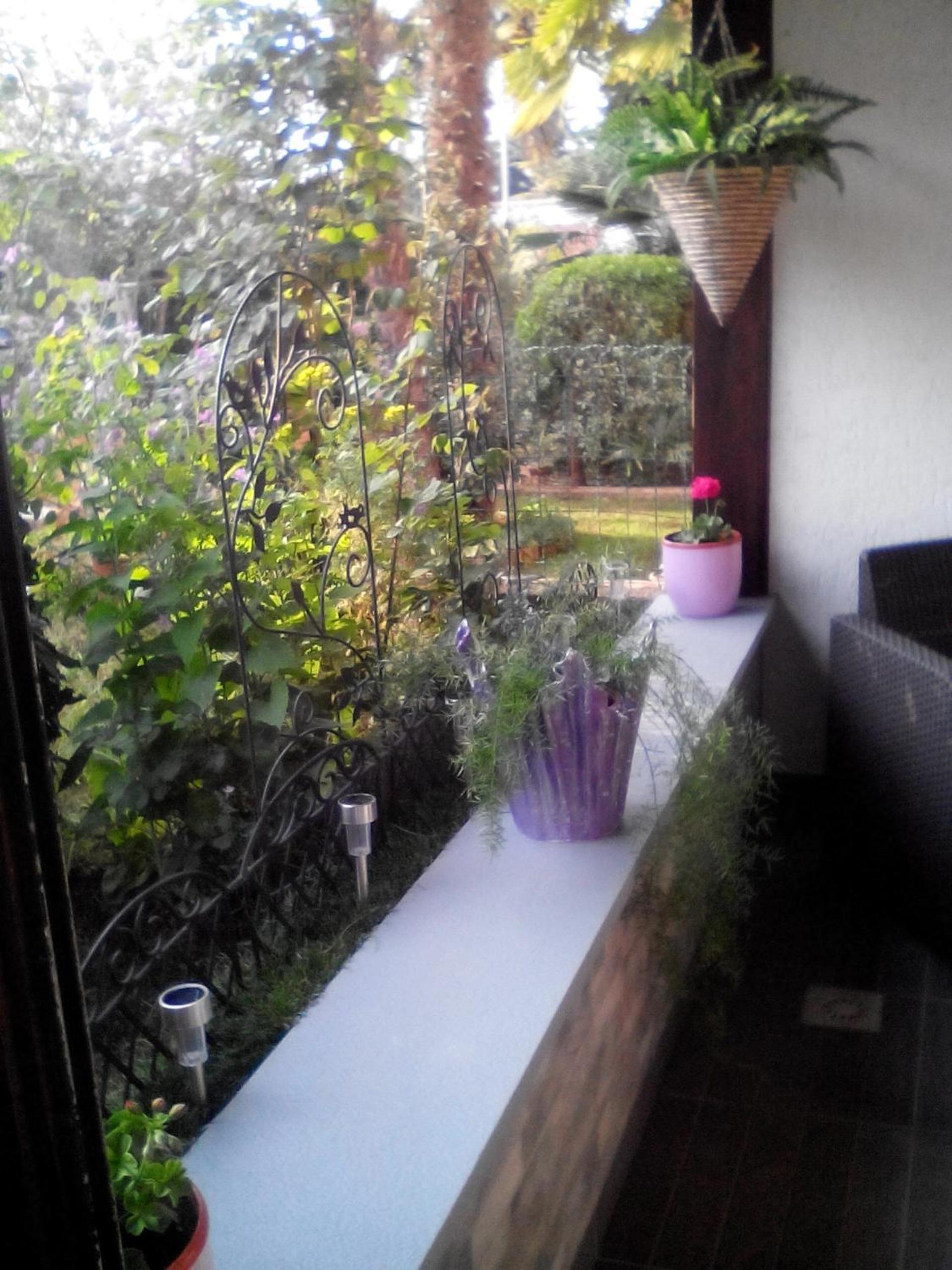 Photo 33