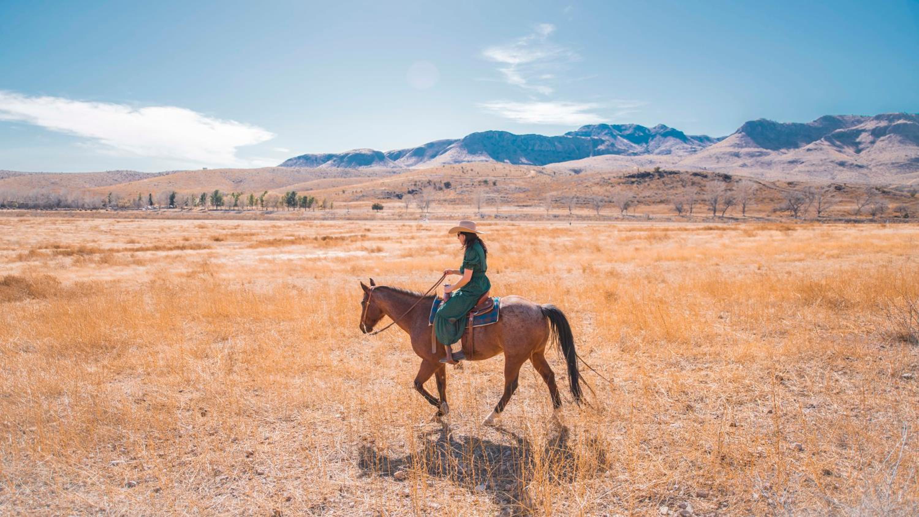 Cibolo Creek Ranch And Resort 37