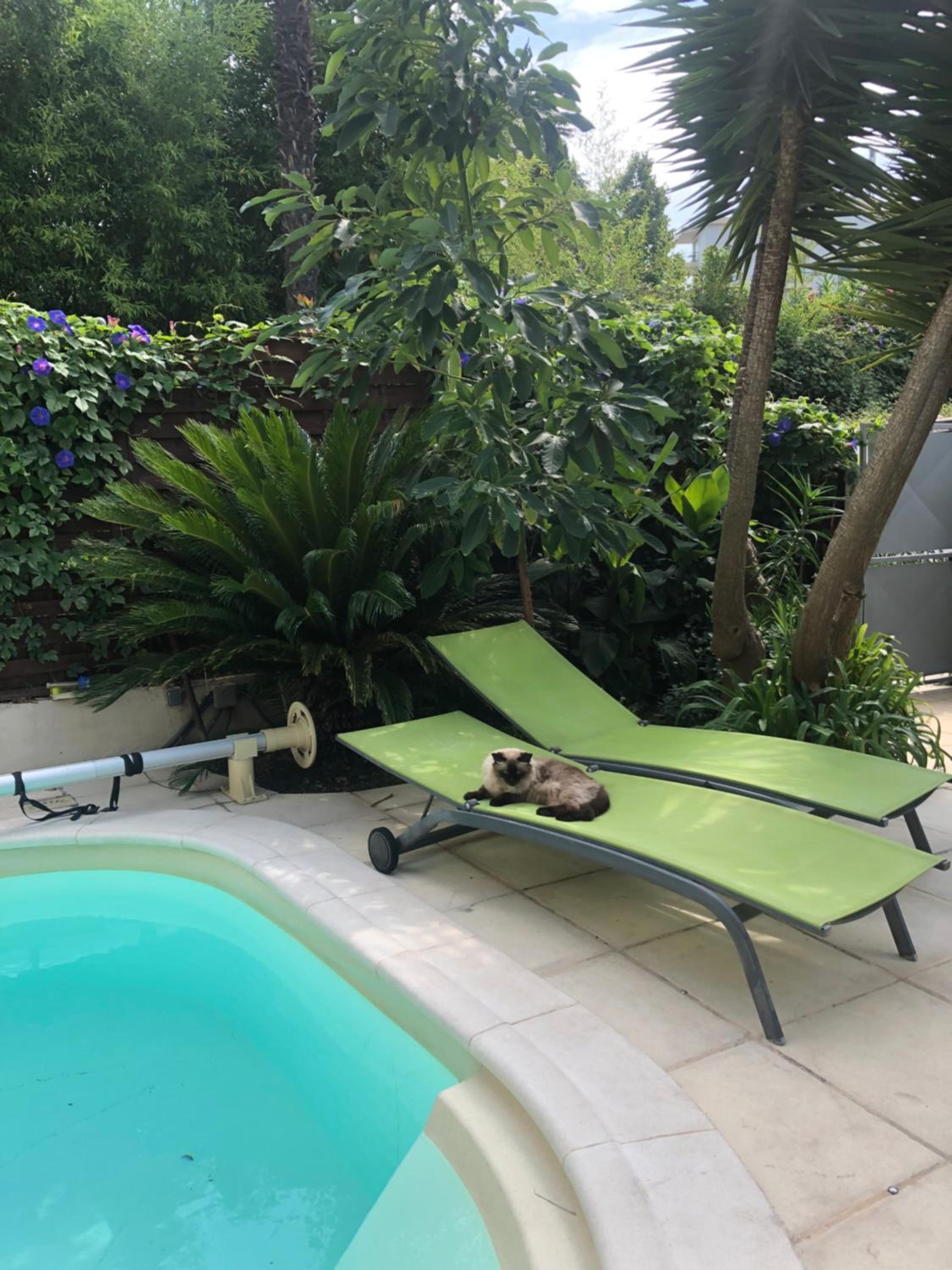 VILLA BEAUSEJOUR view 3
