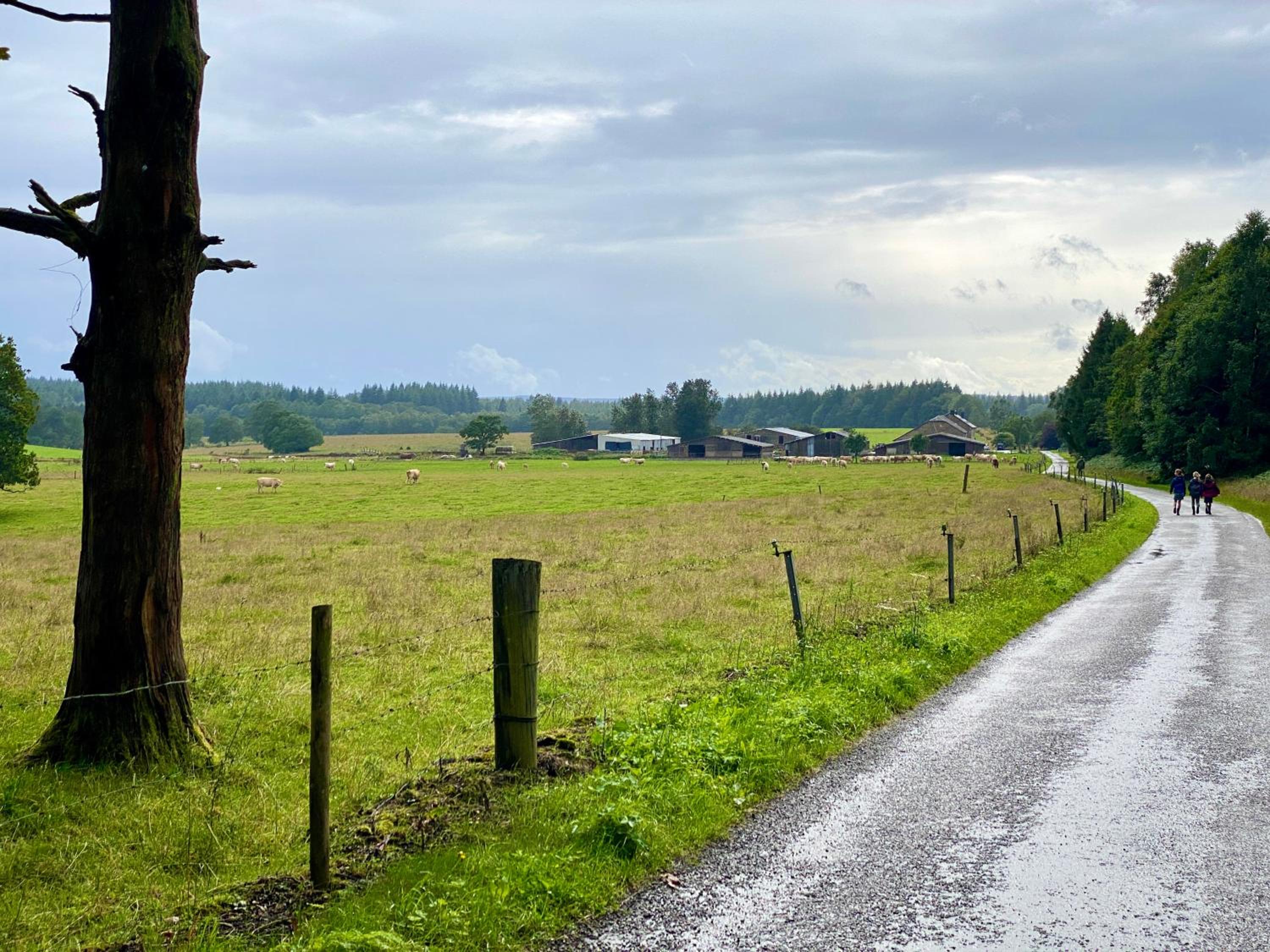 Quiétude à la ferme