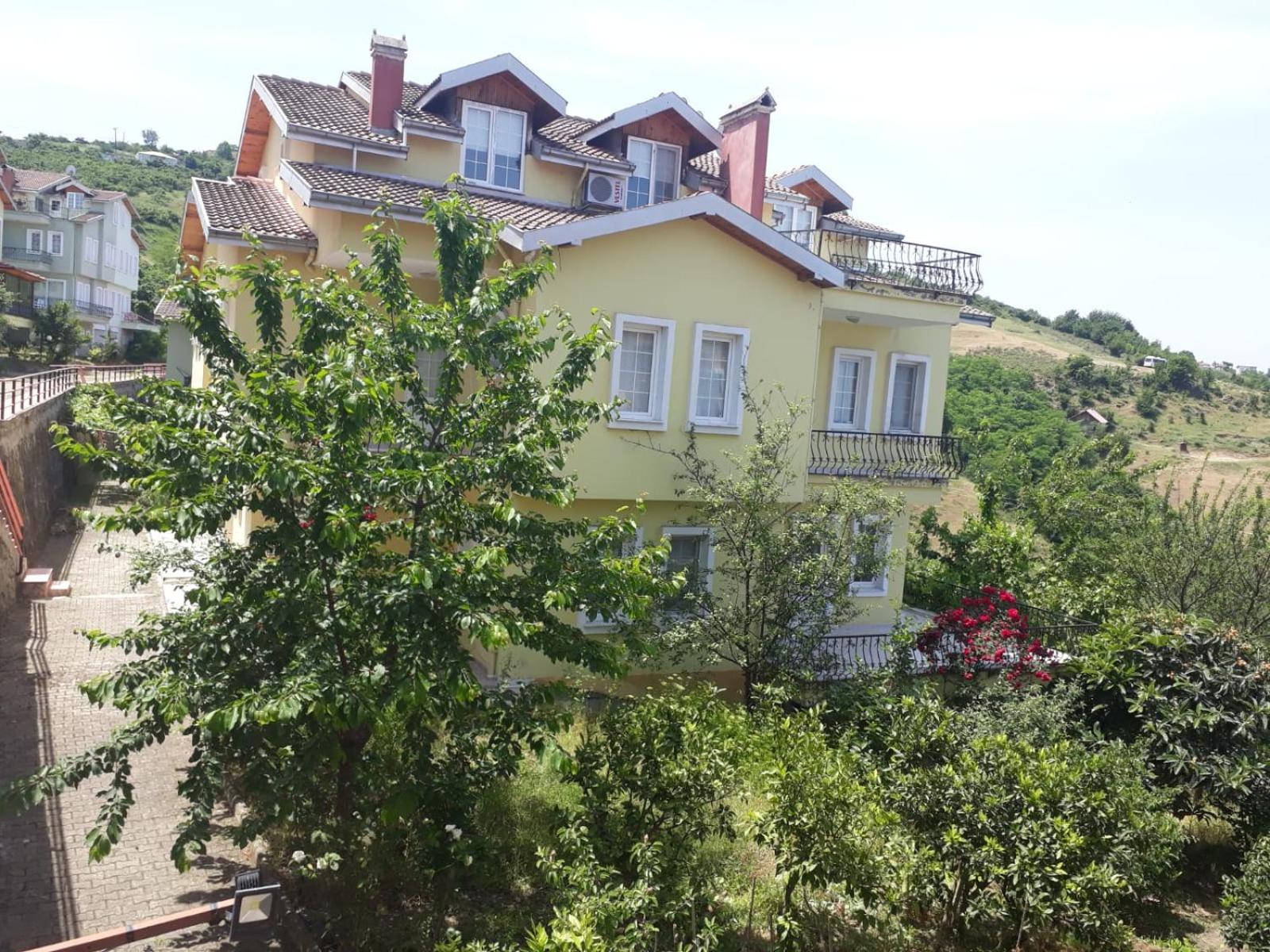 Photo 24