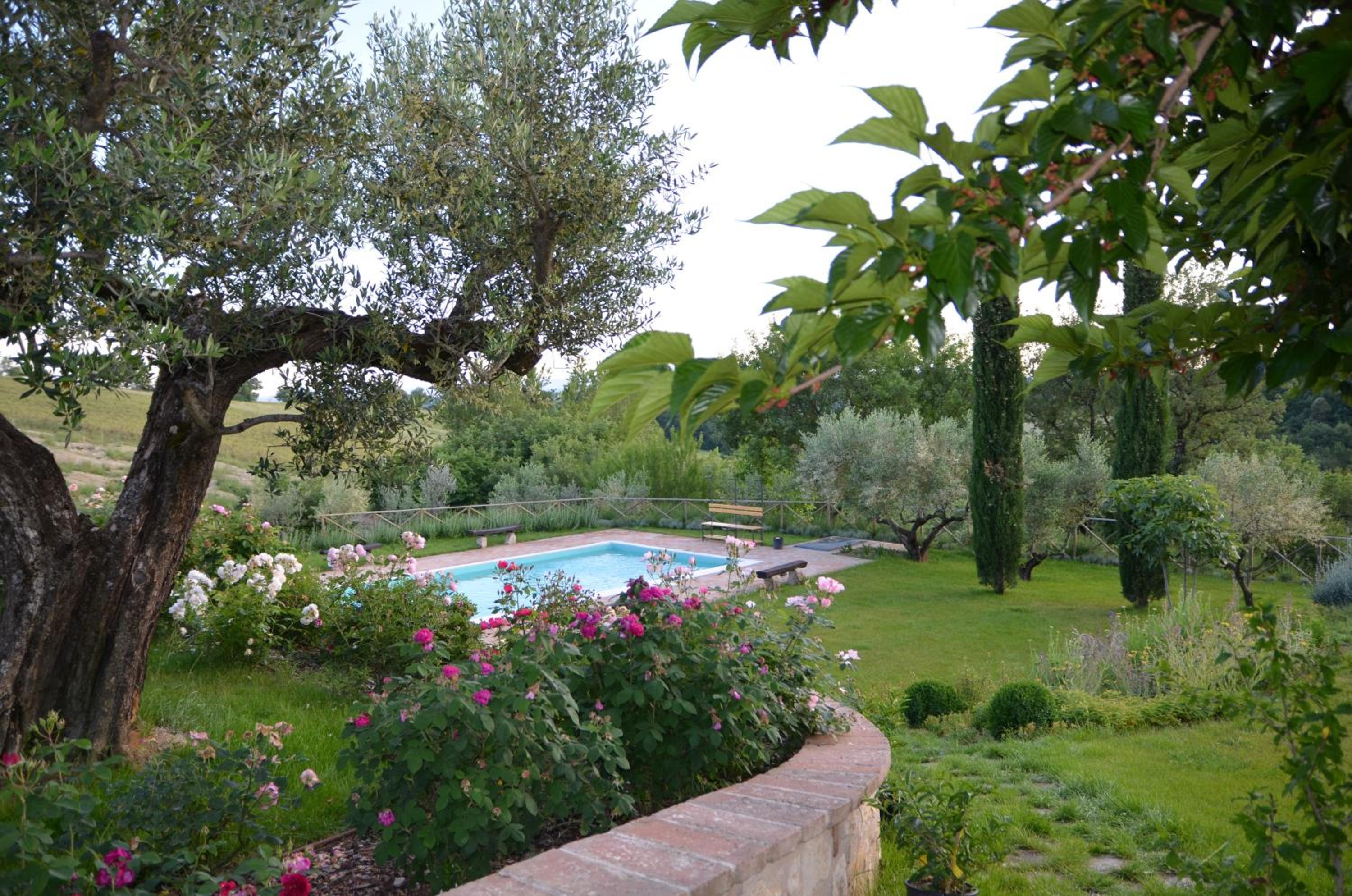 Photo 14