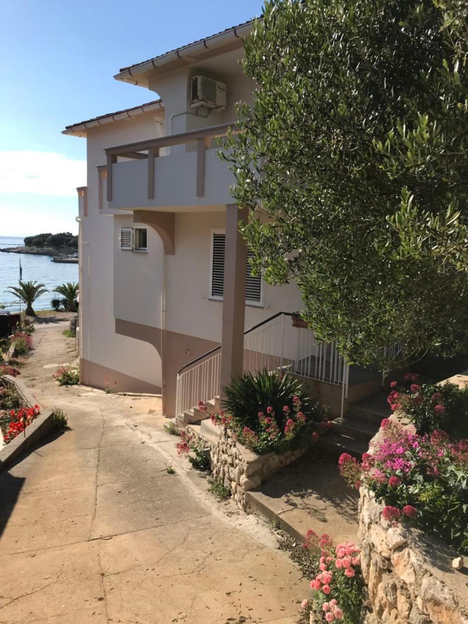 Apartments and rooms LJUBICA view 3