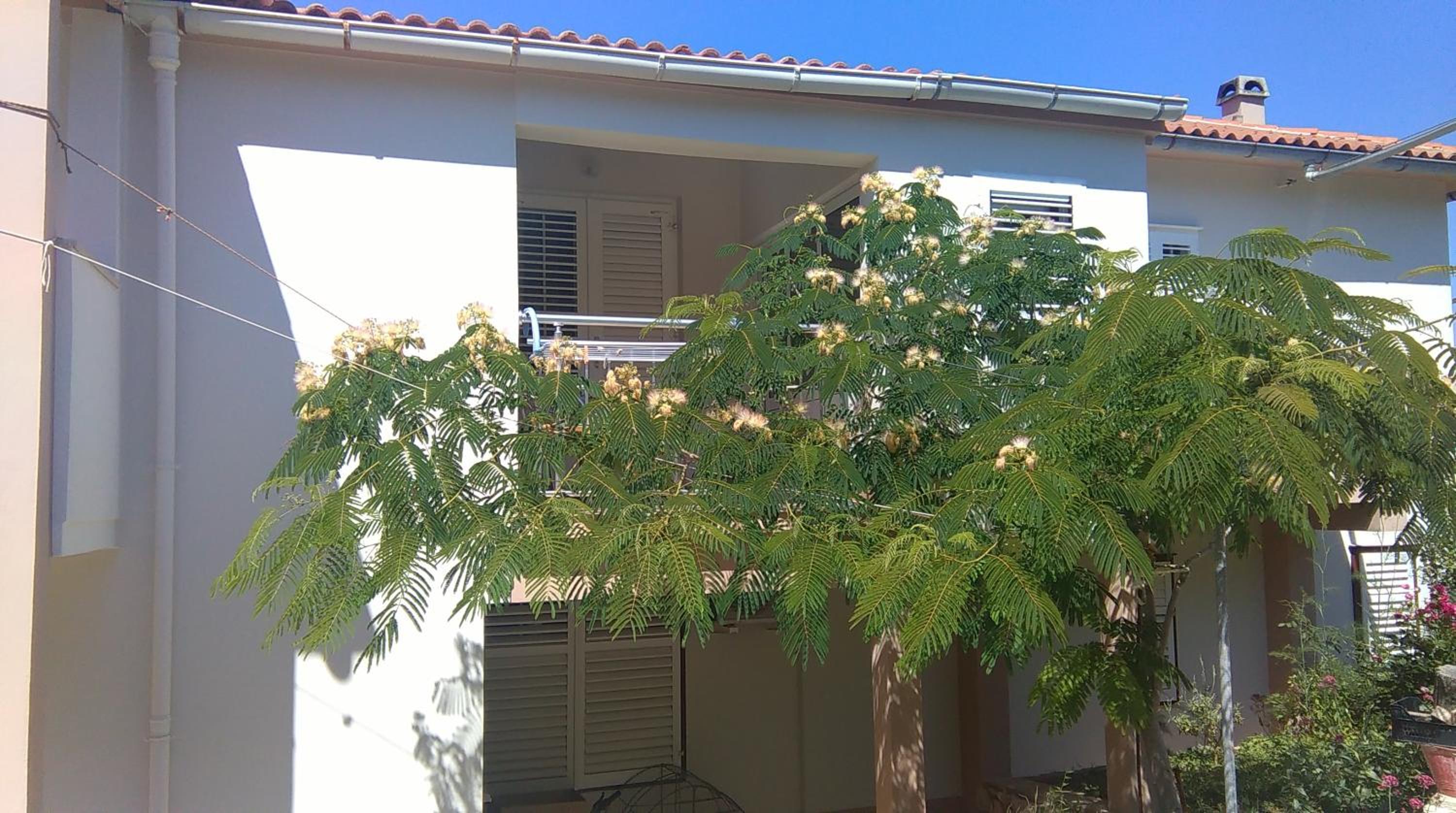 Apartments and rooms LJUBICA view 5