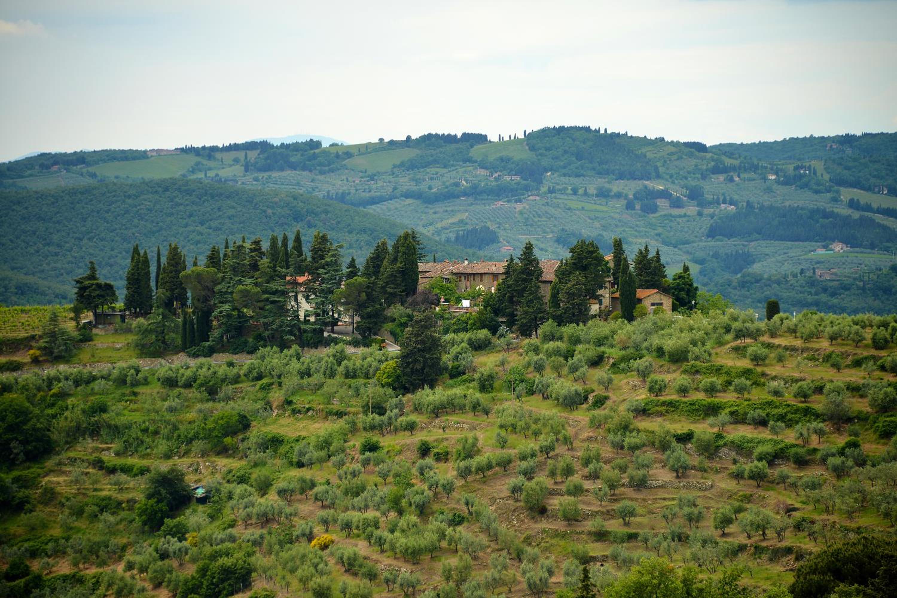 Castellinuzza