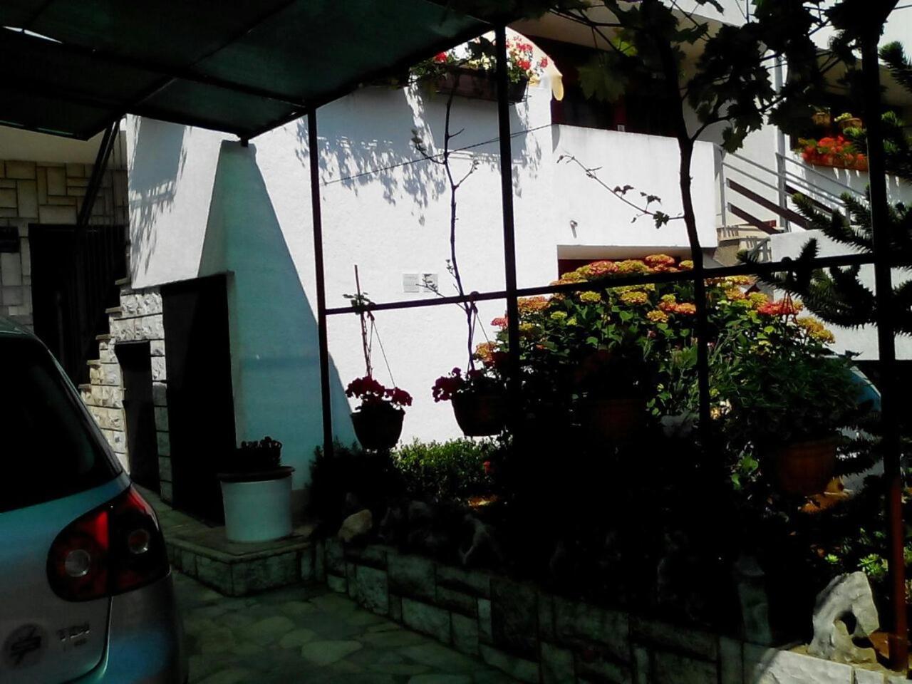 Photo 38