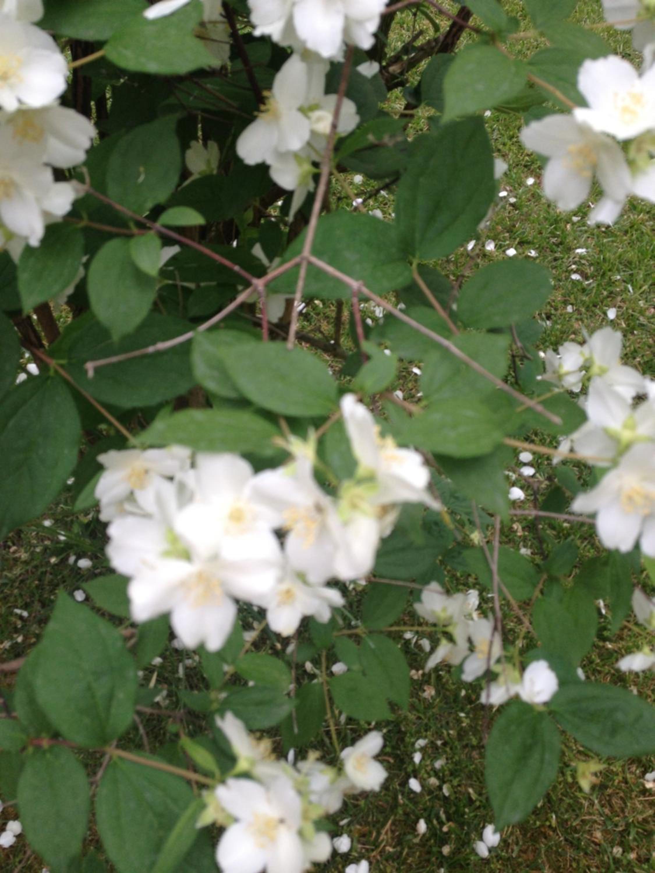 Photo 47