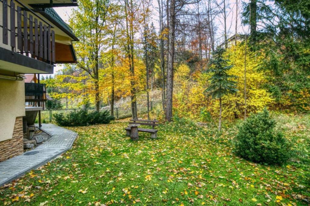 Golden Apartments Zakopane&DB11 view 5