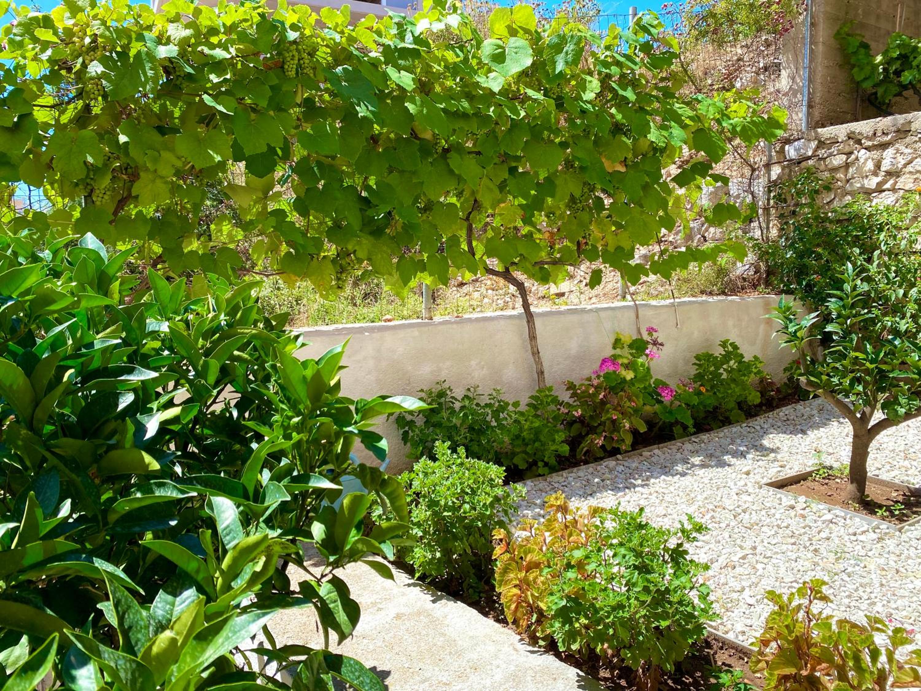 garden