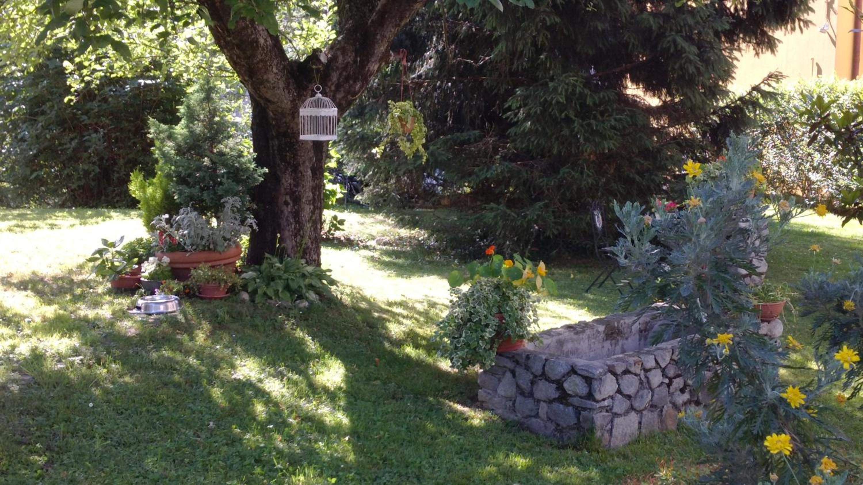 B&B I Pioppi view 5