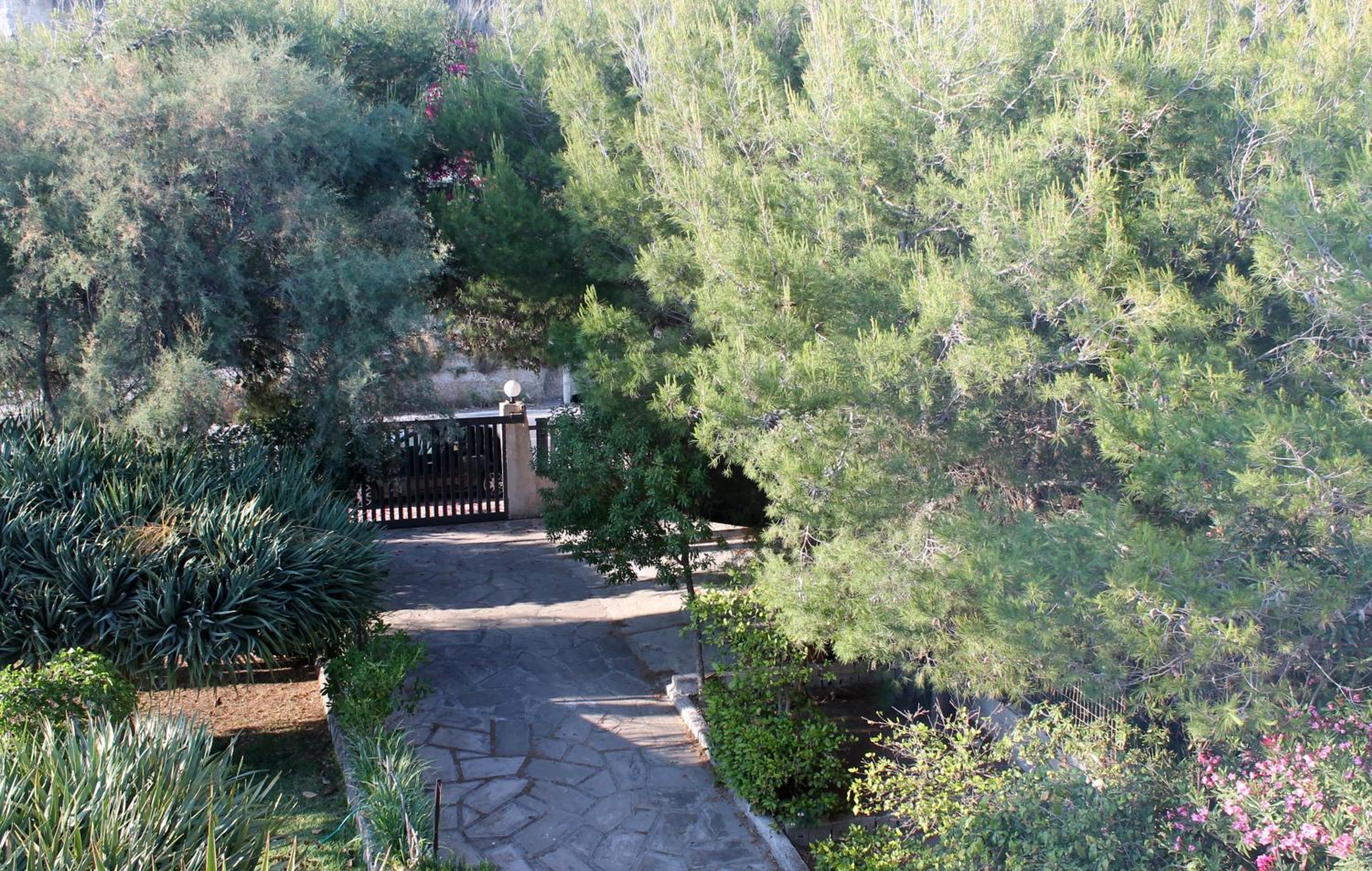 Photo 22