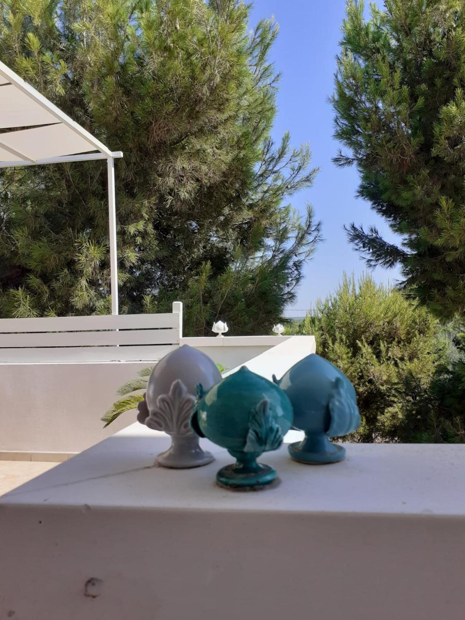 Pinulà view 2