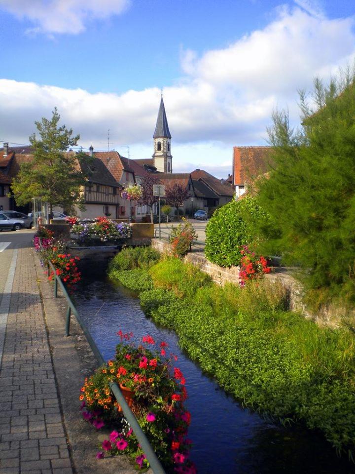Photo 35