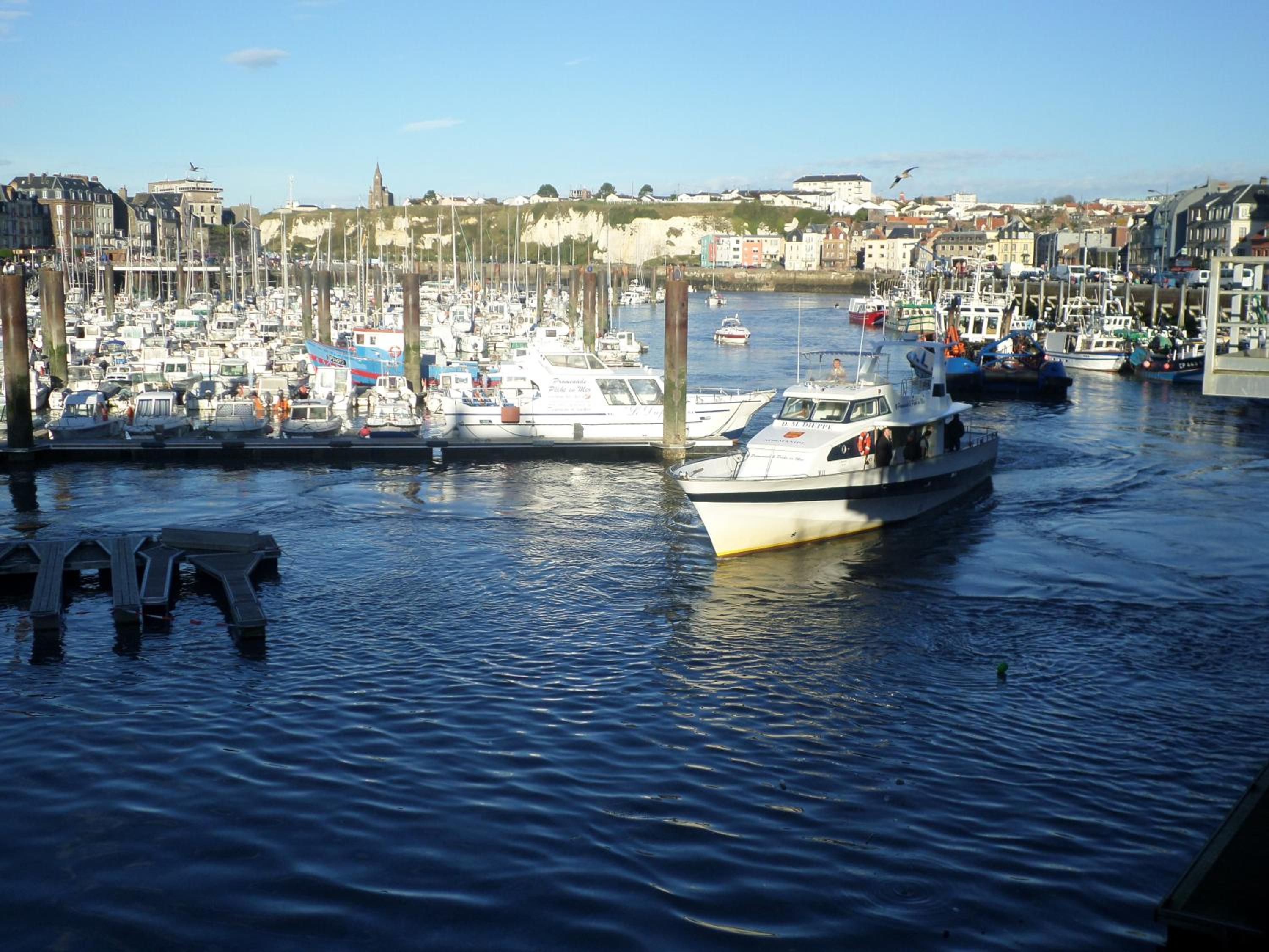 Photo 43