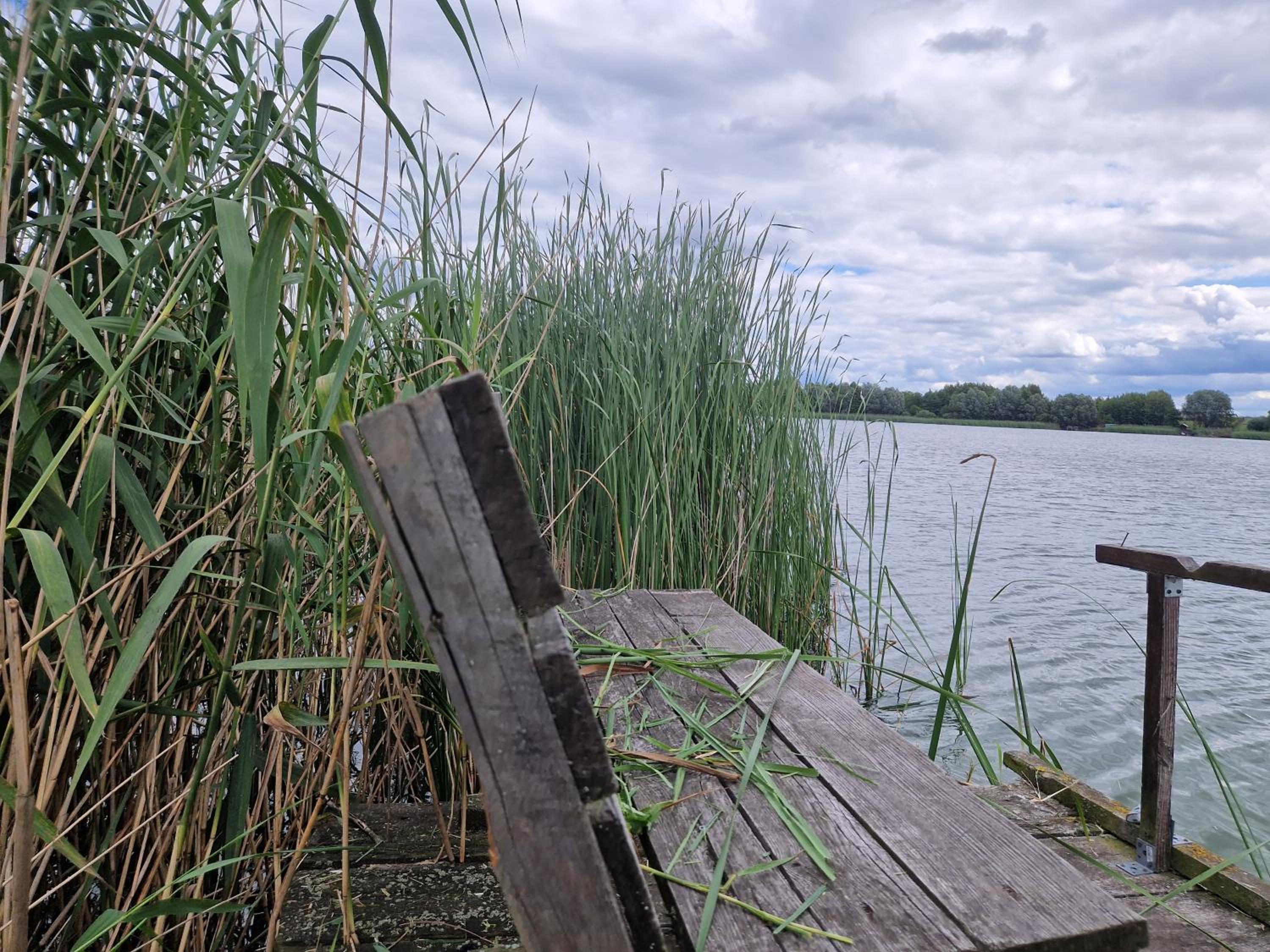 Photo 33