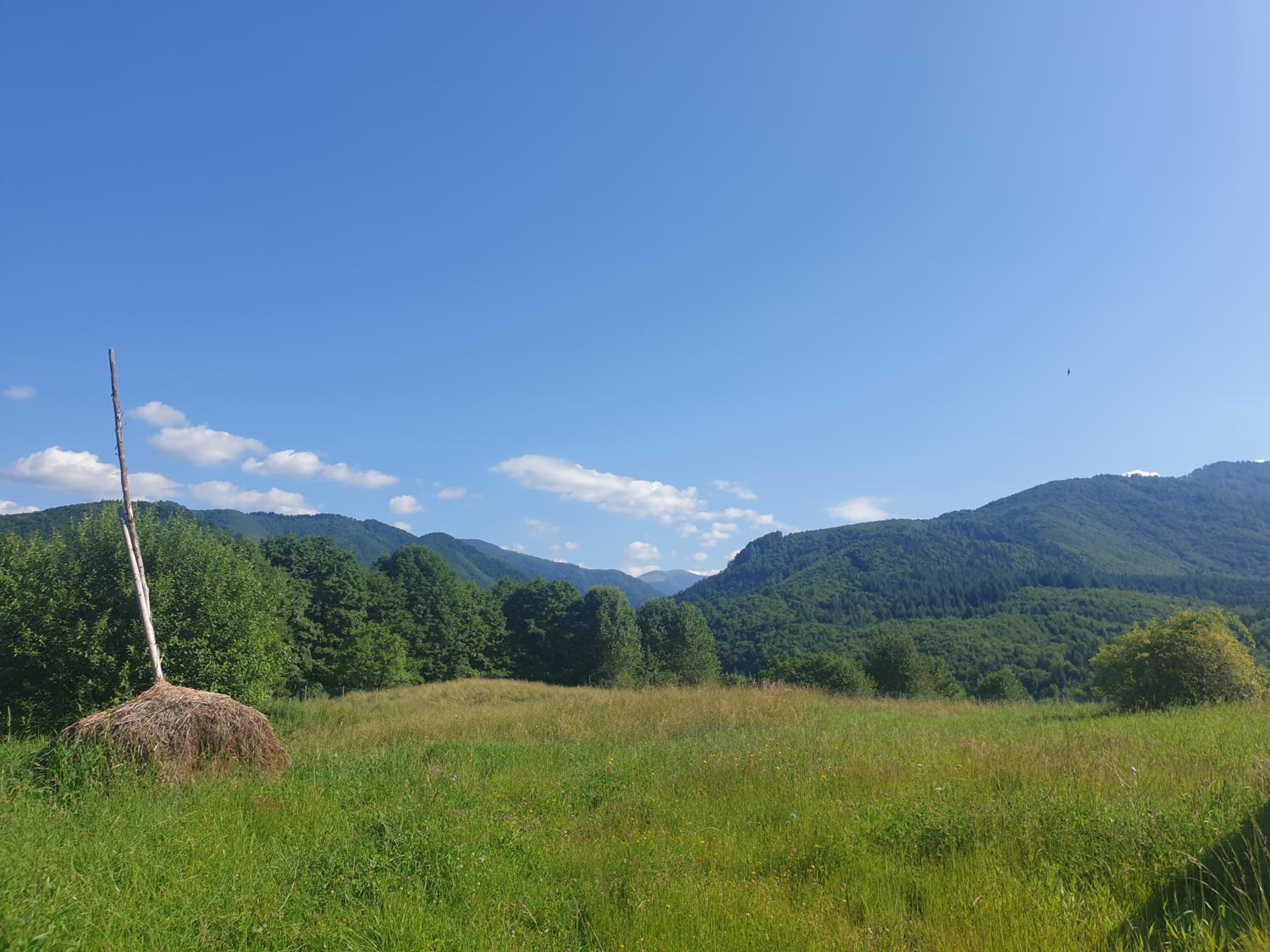 Valea Doamnei