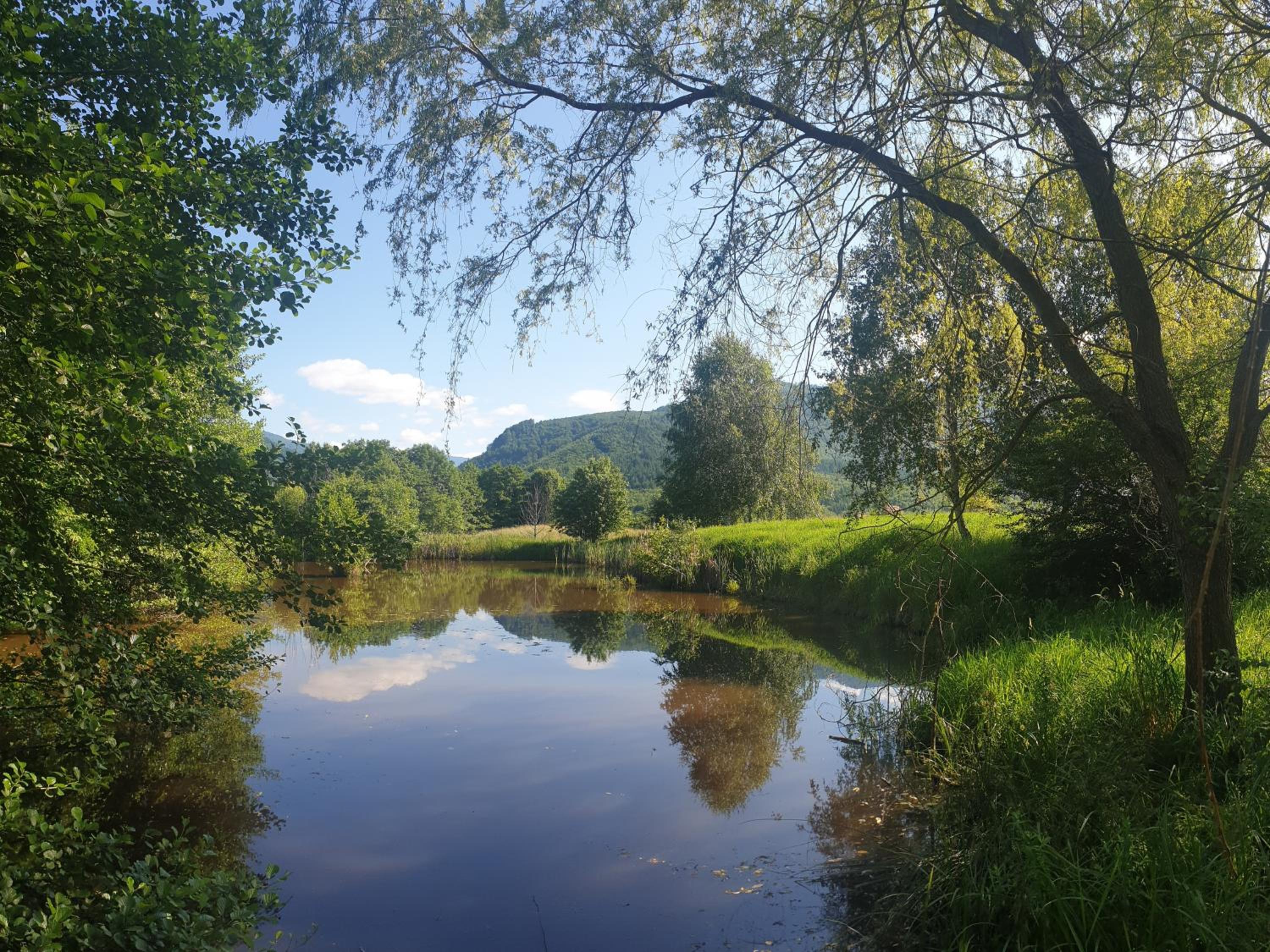 Valea Doamnei
