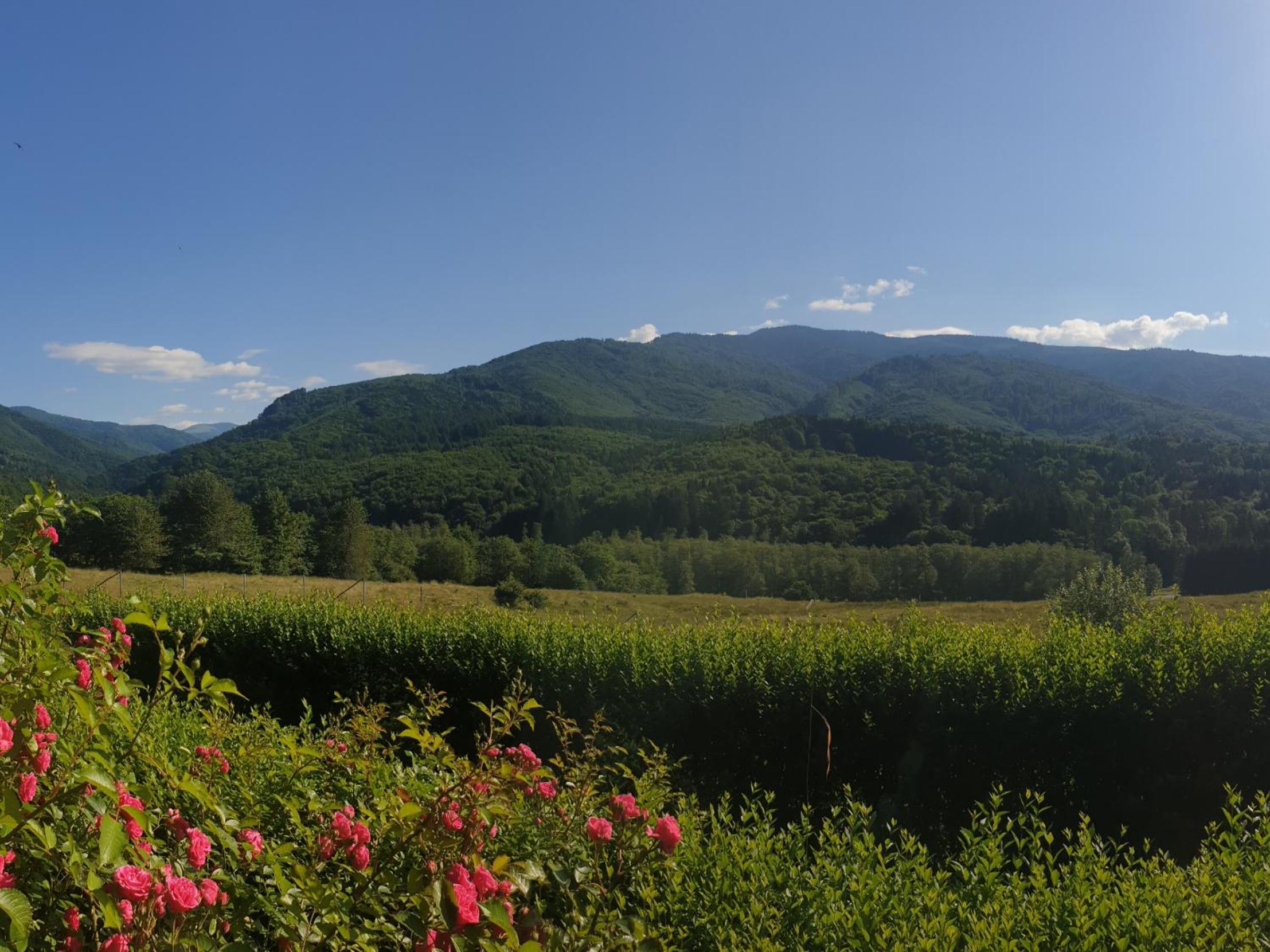 Valea Doamnei