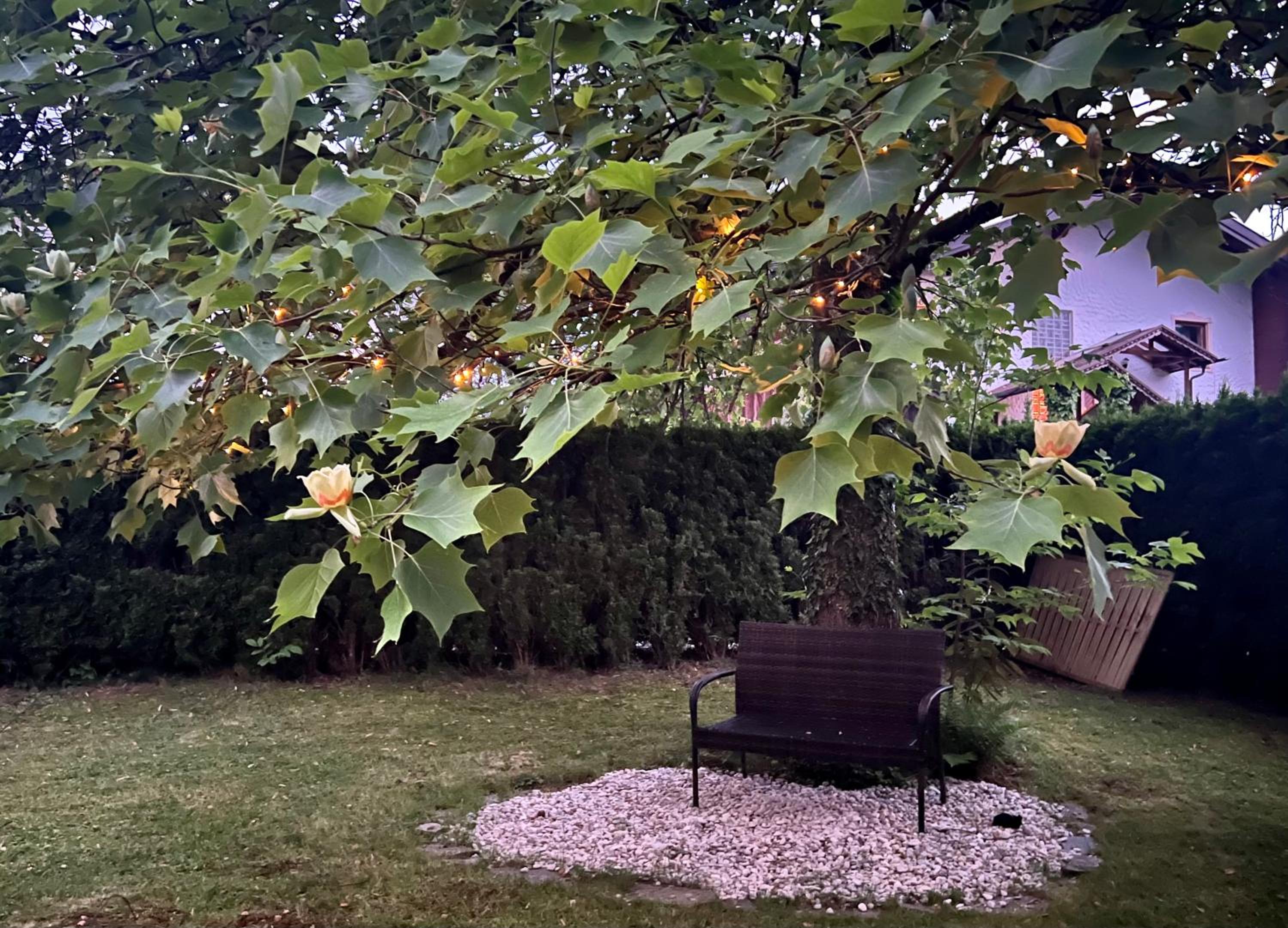 Haus mit Garten