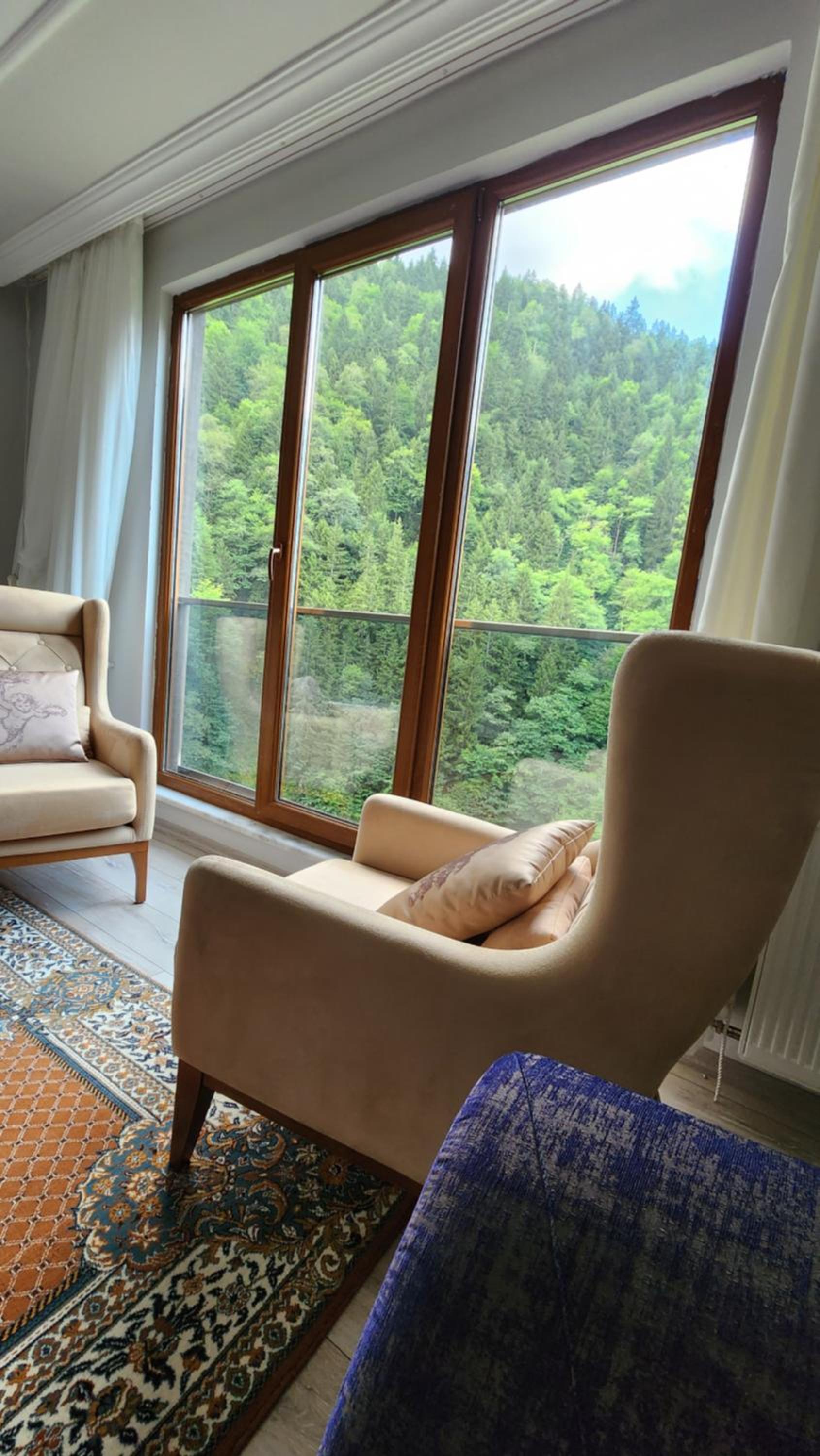 Fairytale Nature House - Uzungöl view 2