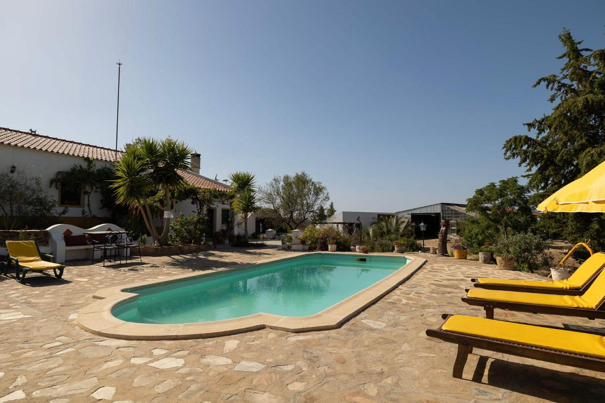 Photo 95