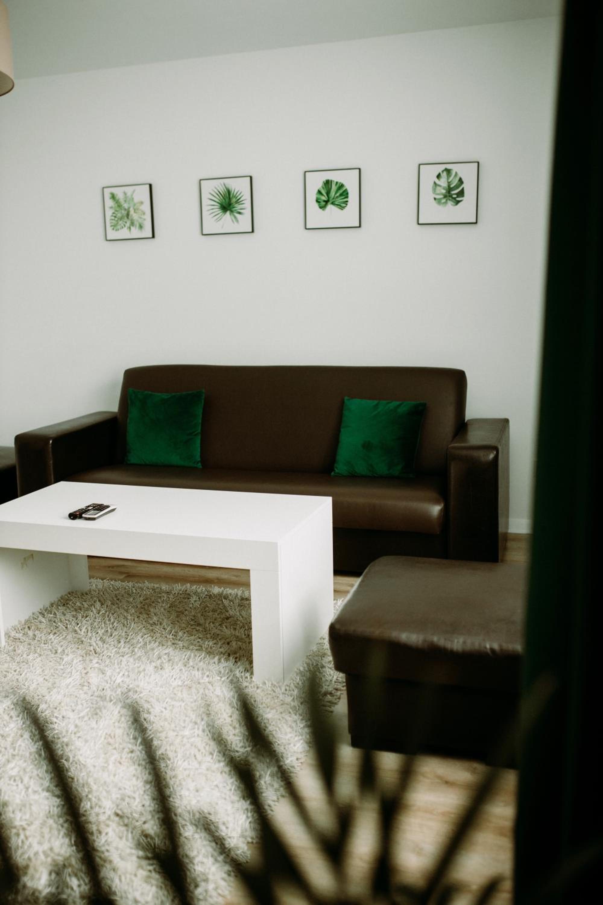 Apartament Magnolia -centrum view 3