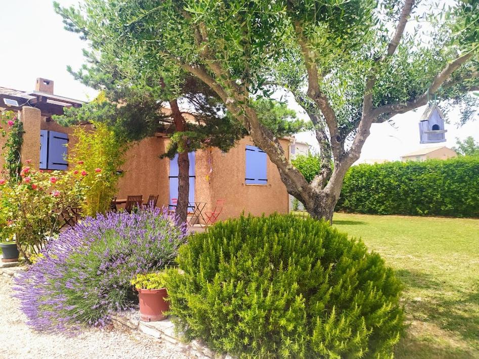 Les Gites de Cayenne - Gite Olivia - Property Image 23