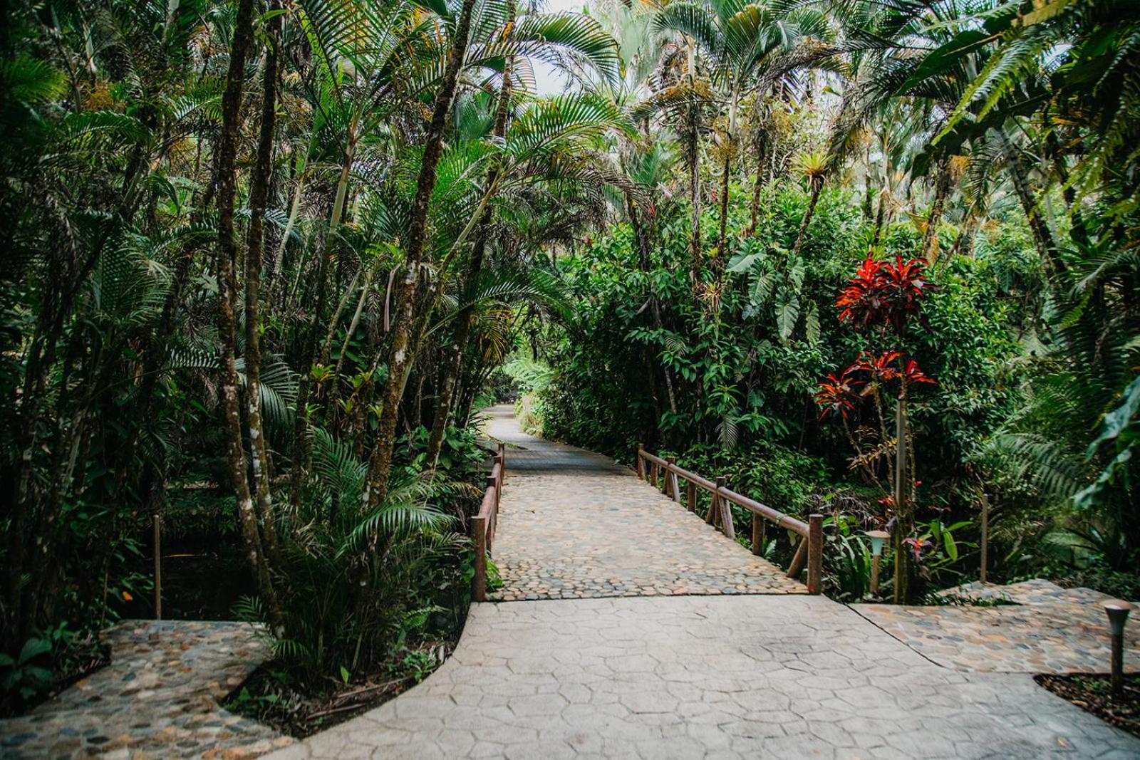 garden
