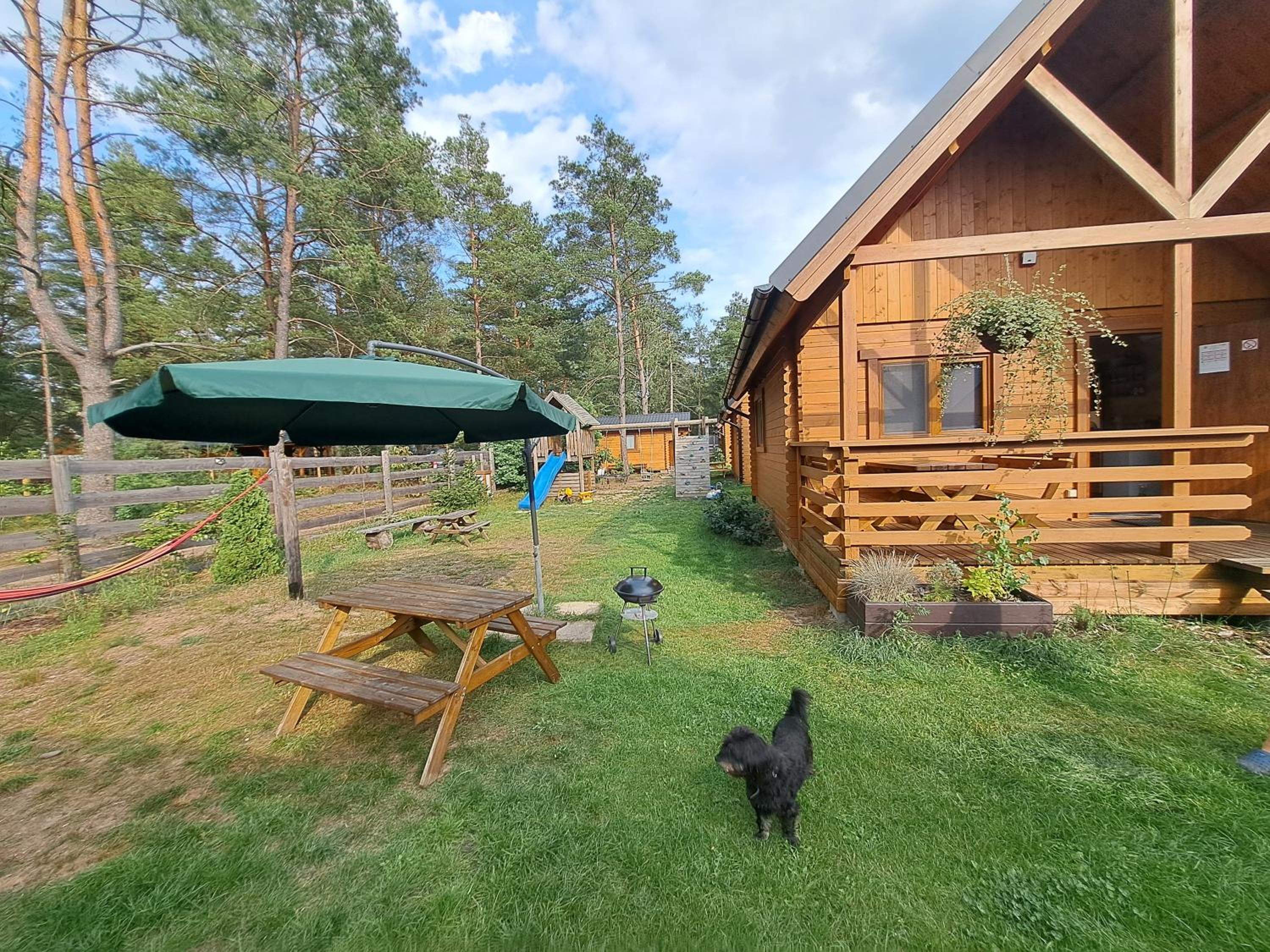 Lesne Runo Borsk view 5