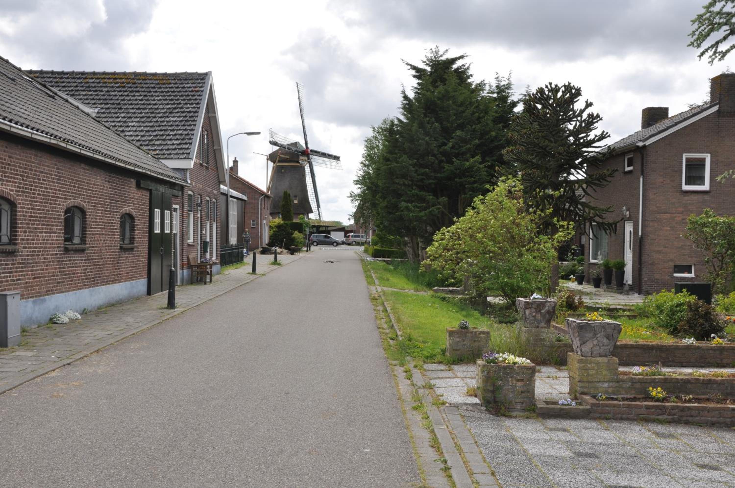 Photo 12