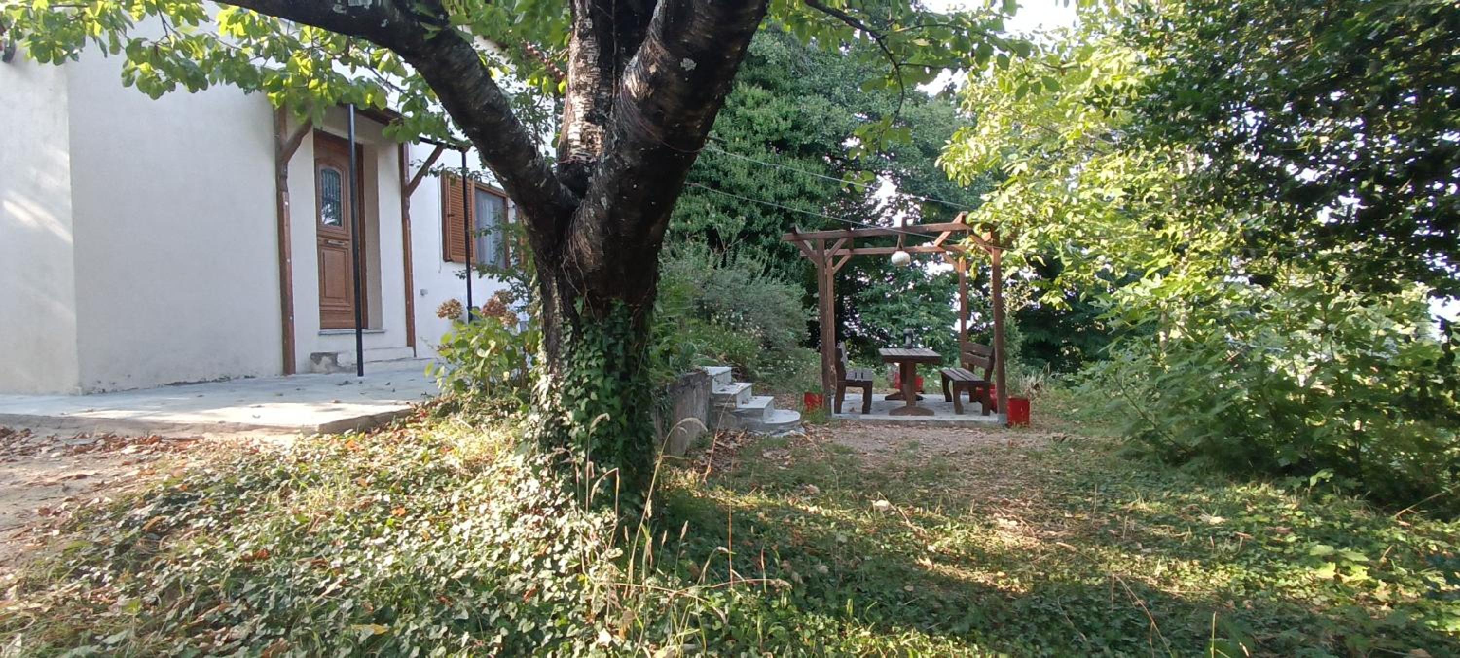 Margarita's House
