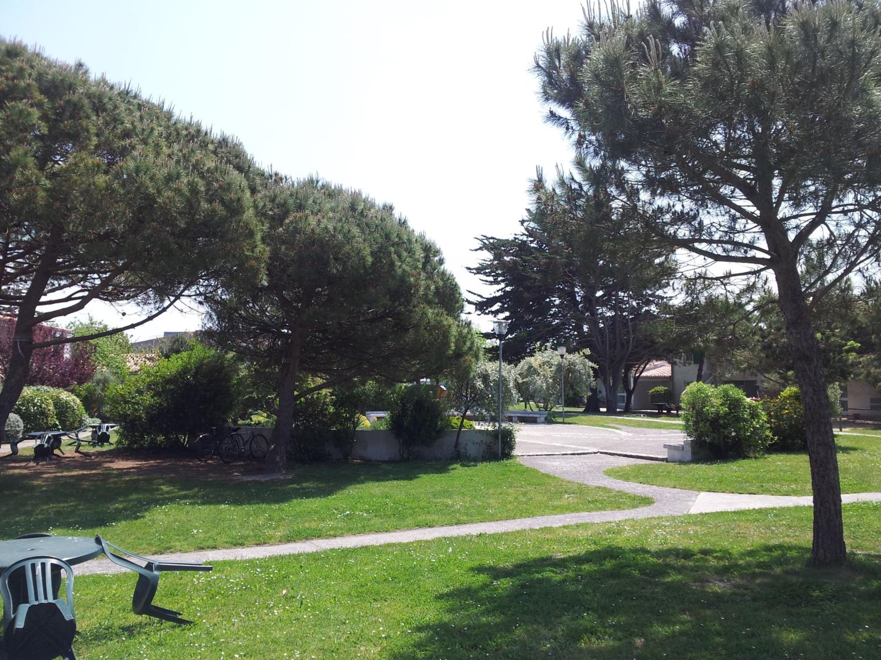 Photo 21