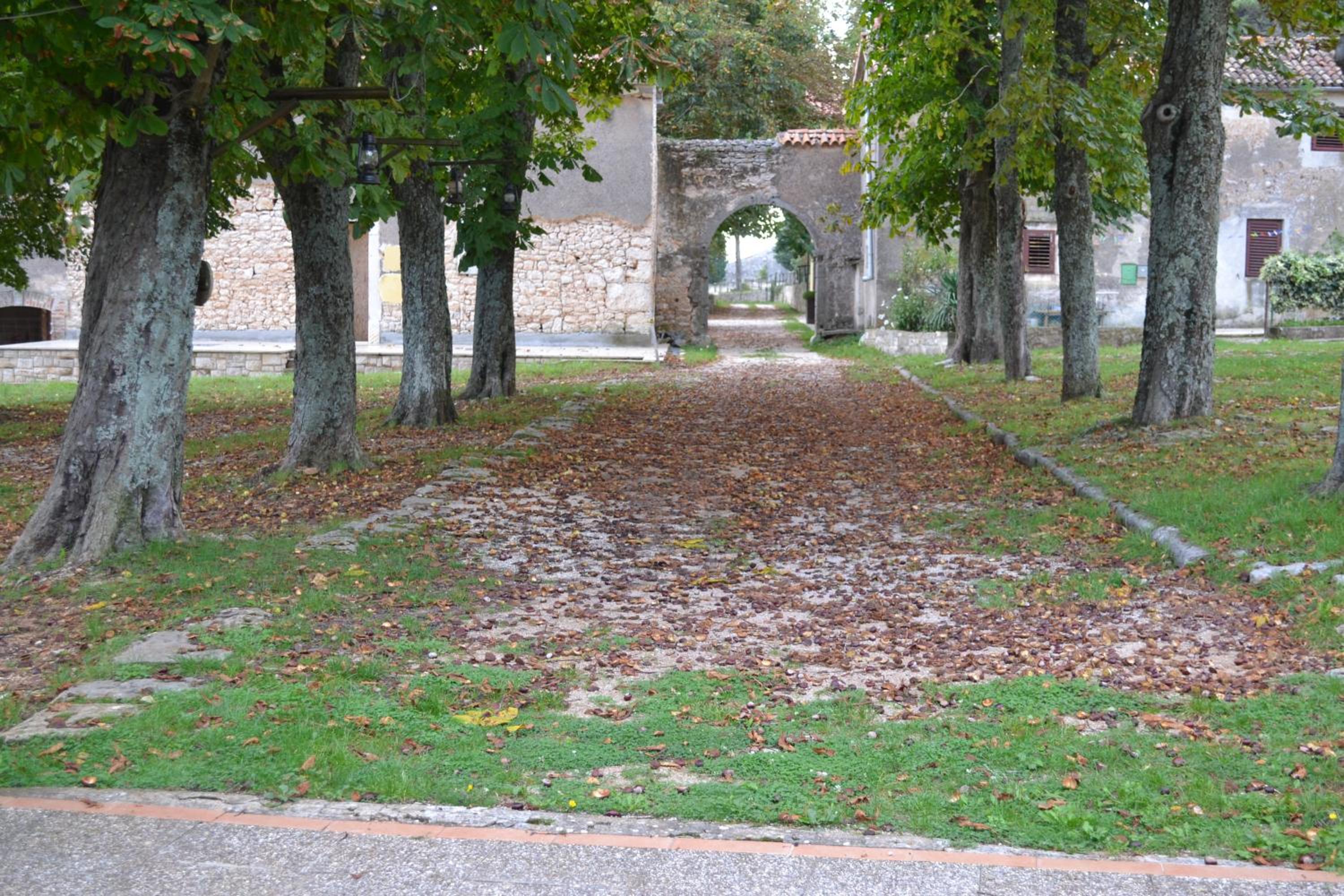 Photo 49