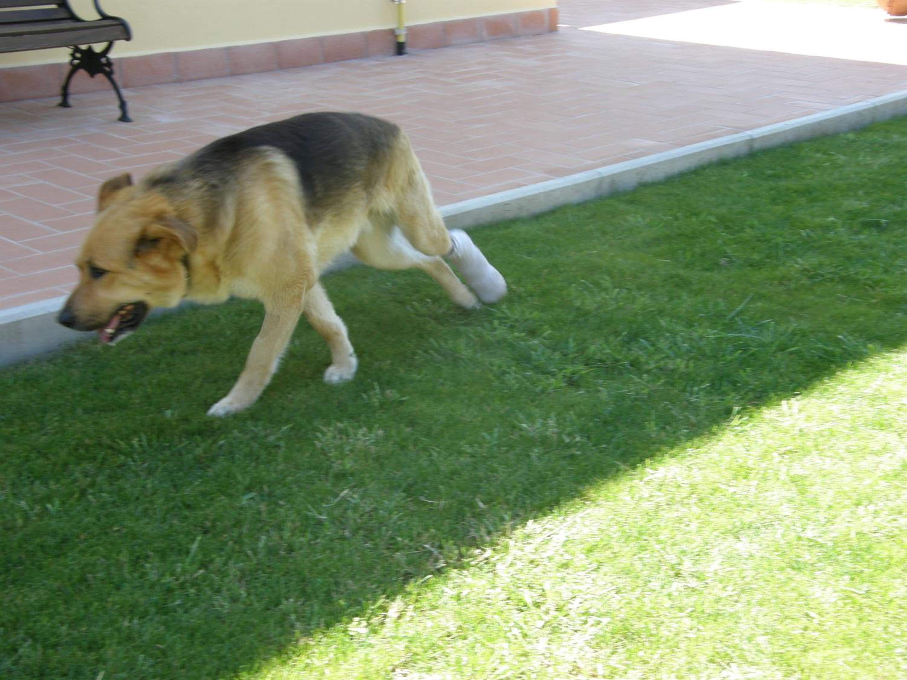 Photo 21