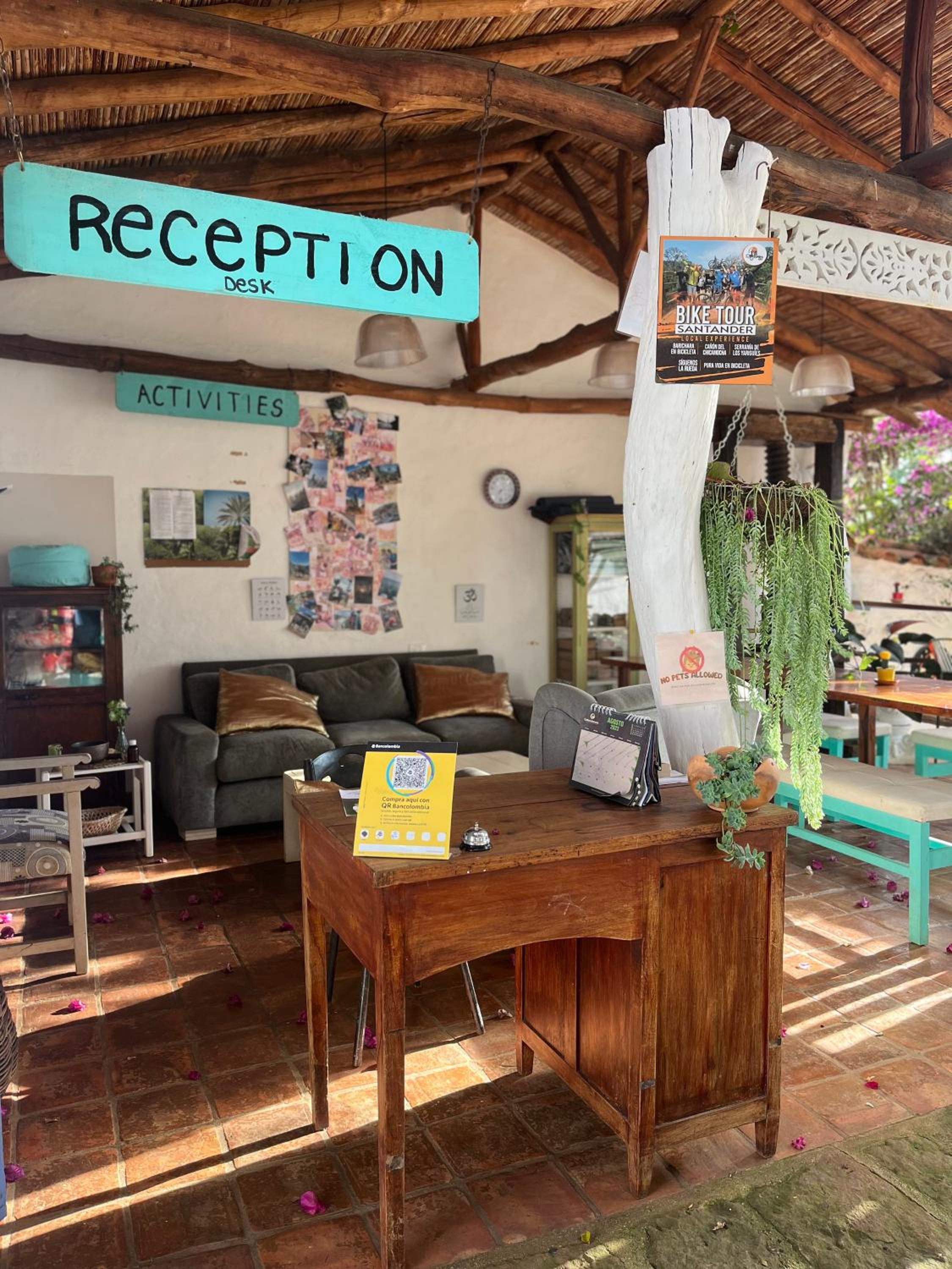 Tree of Life - Hostel