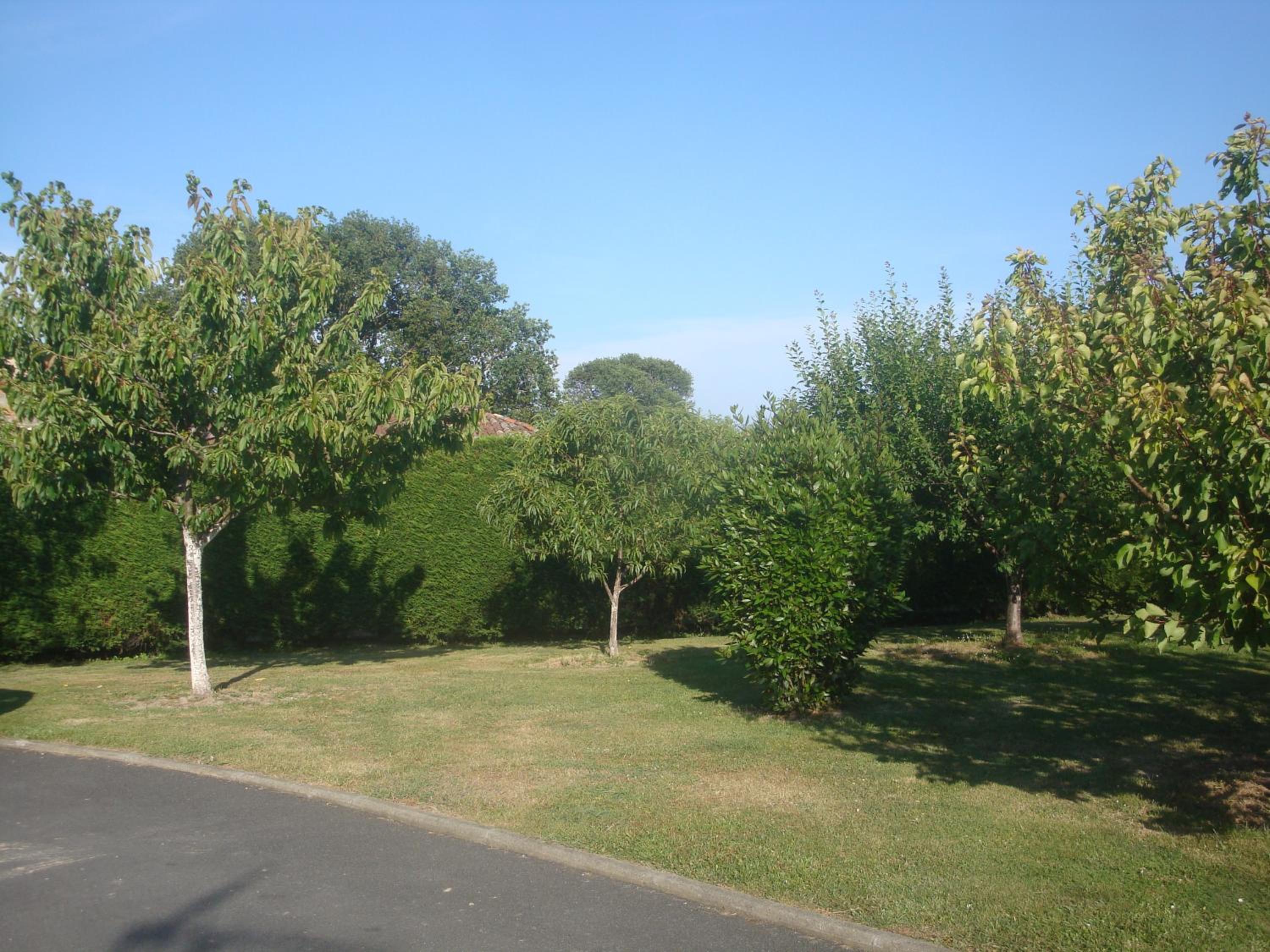 Photo 29