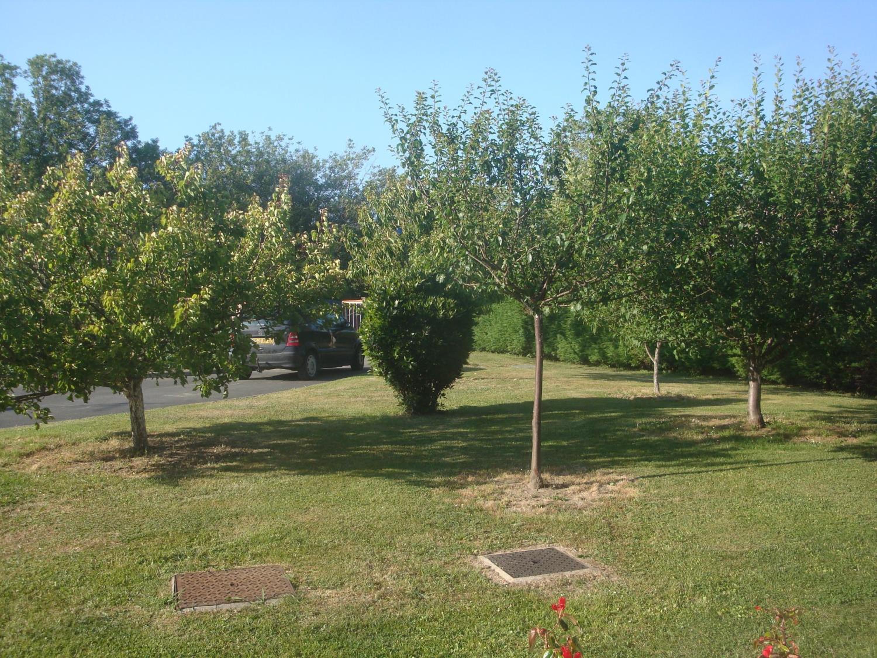 Photo 28