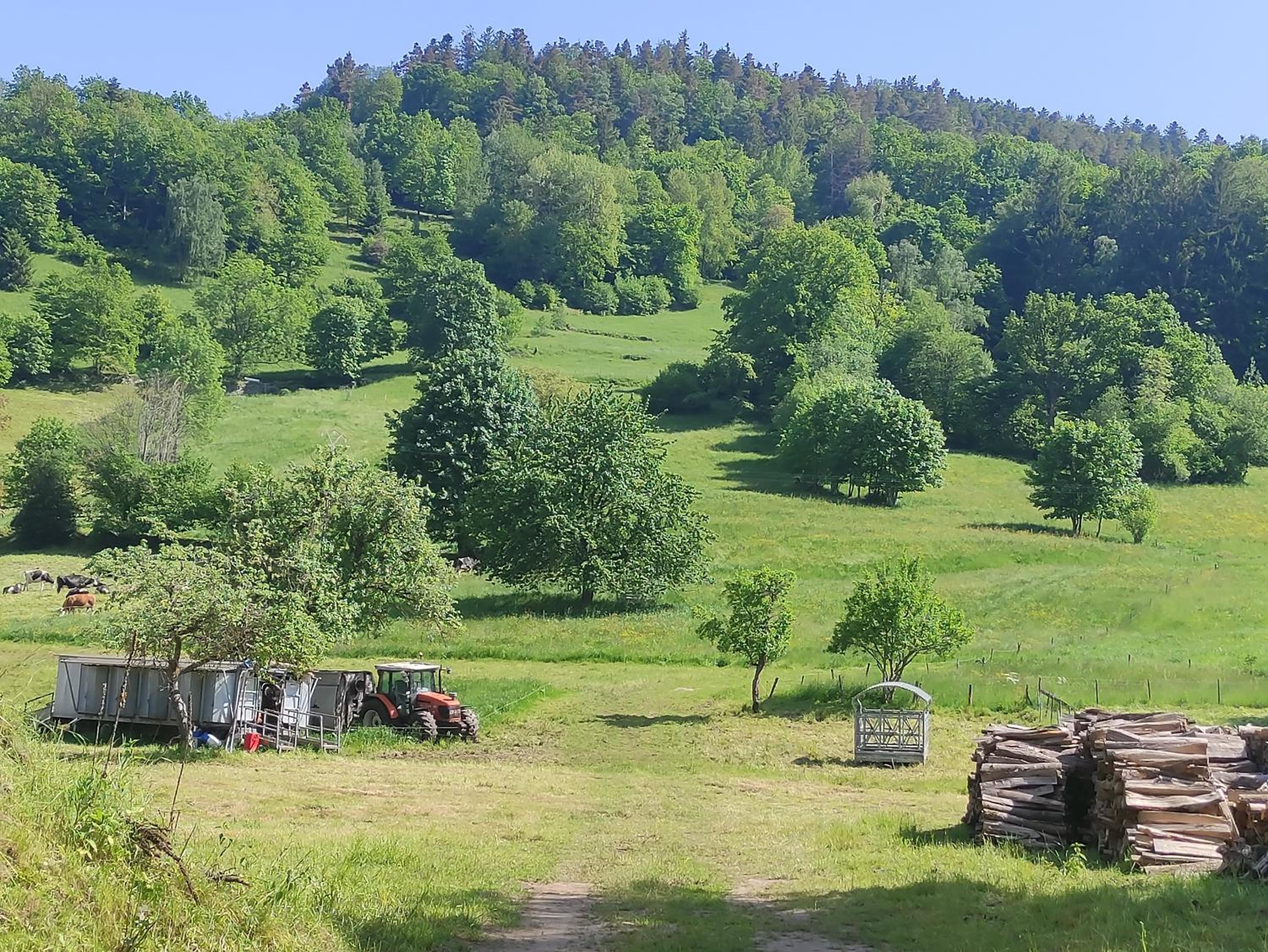 Les studios du frankenthal