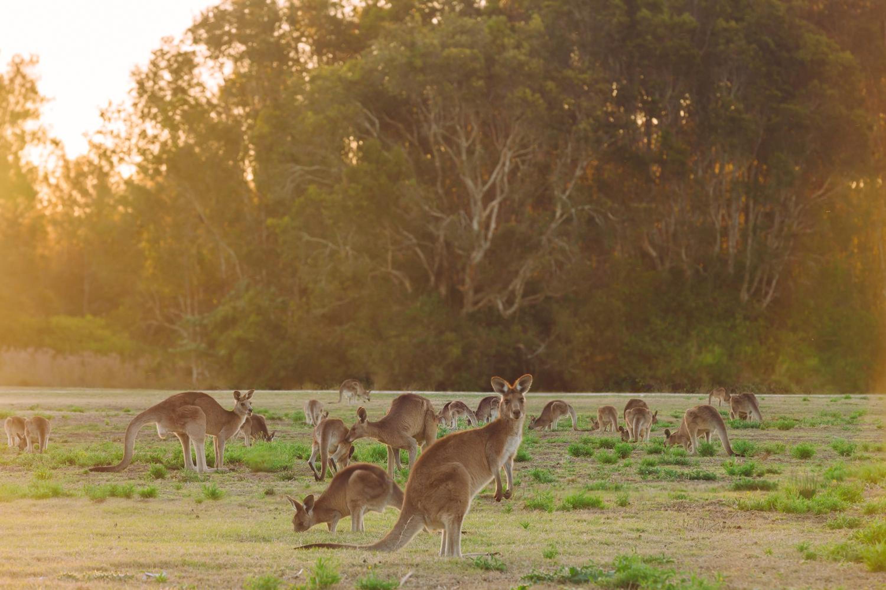 Margaret River Retreat