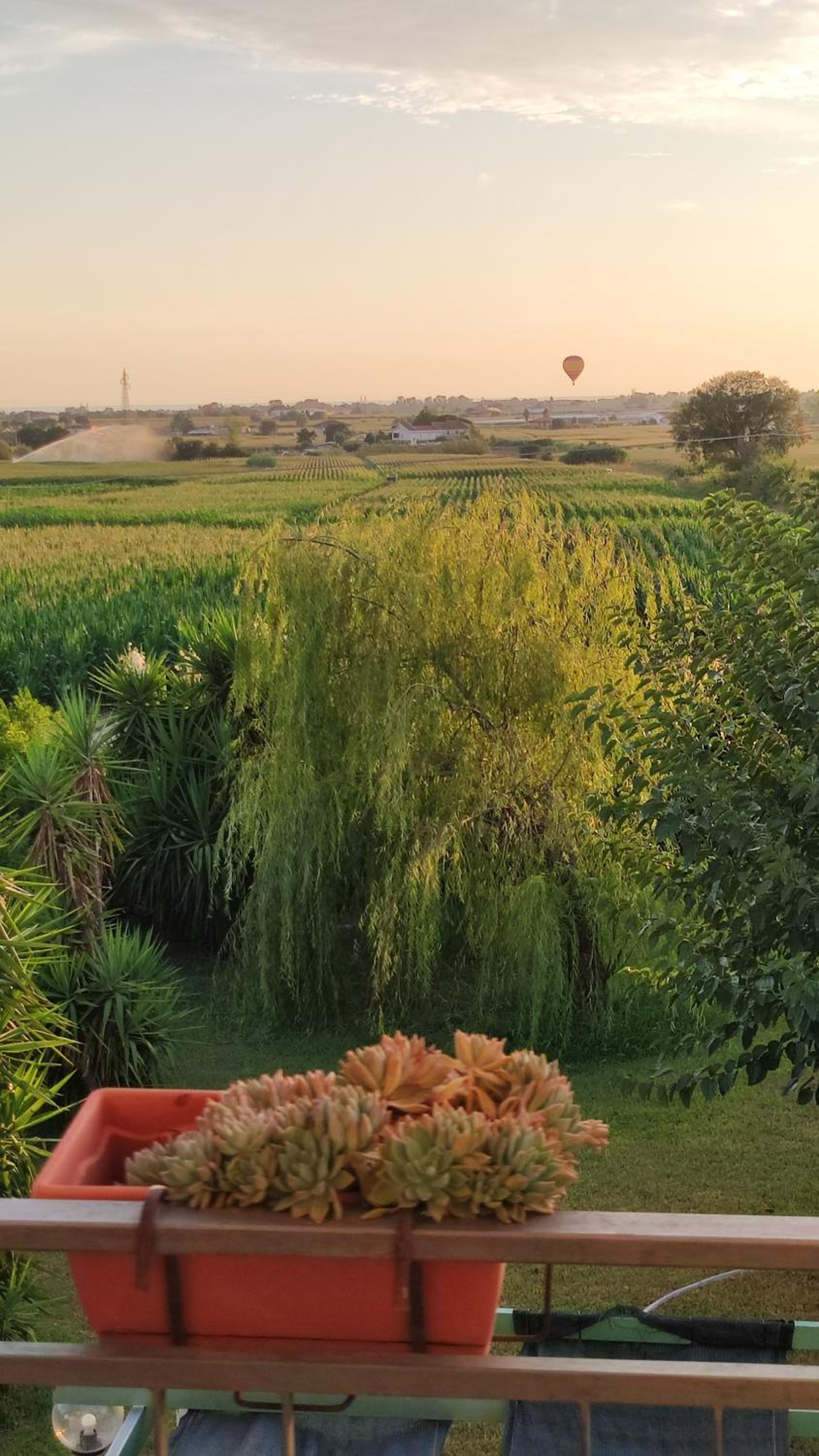 Le Colline di Paestum