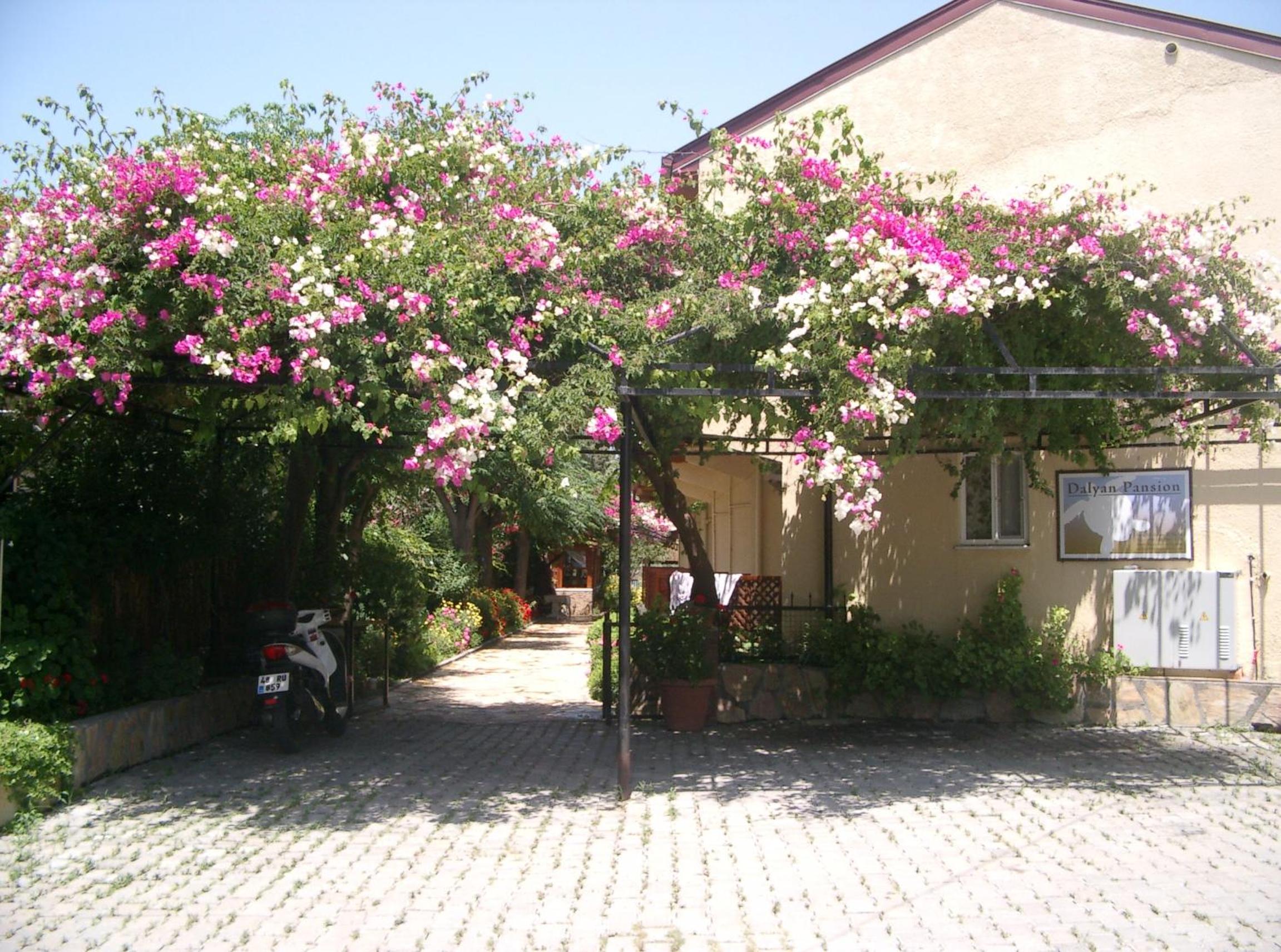 Photo 21