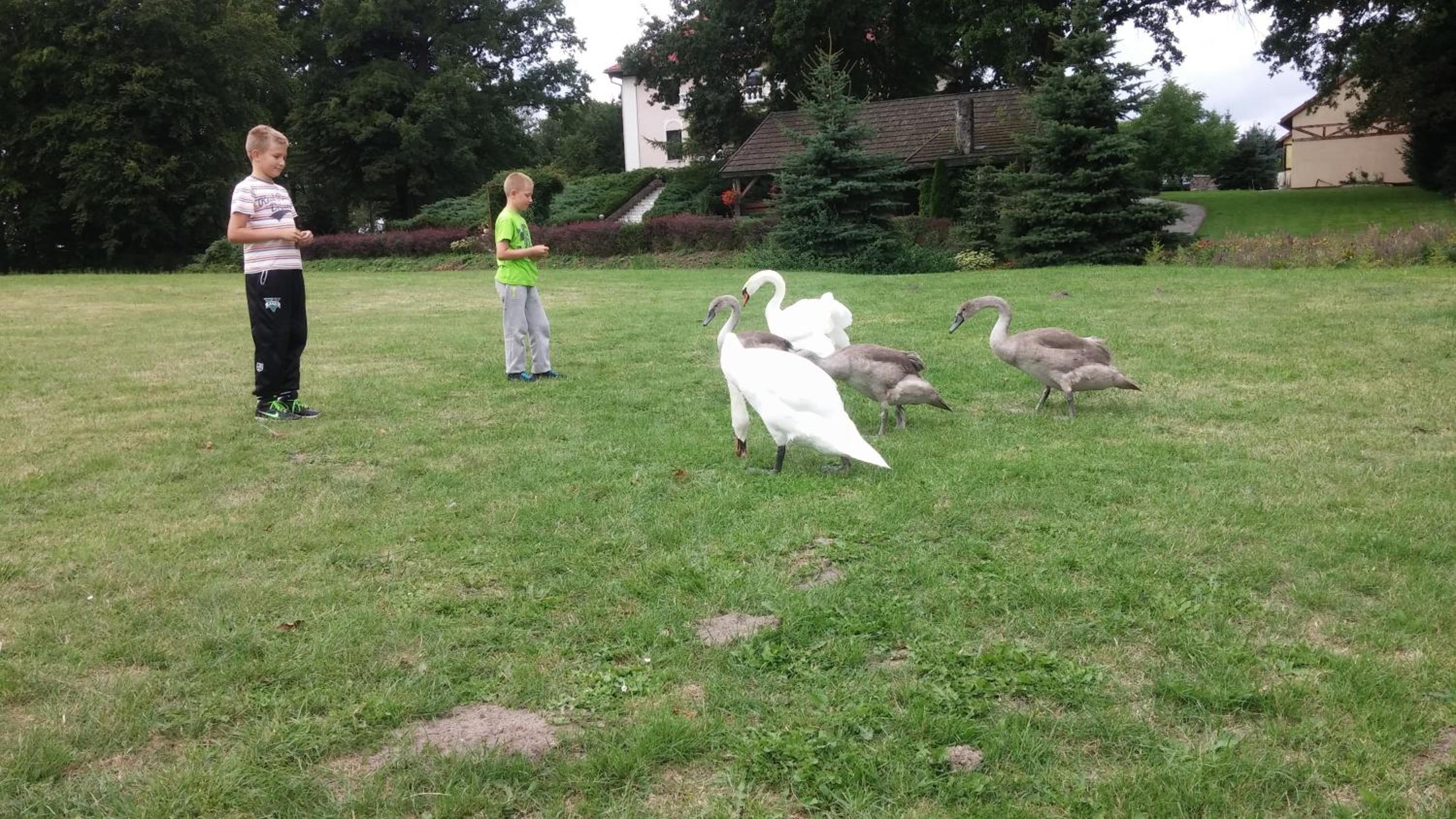 Photo 42