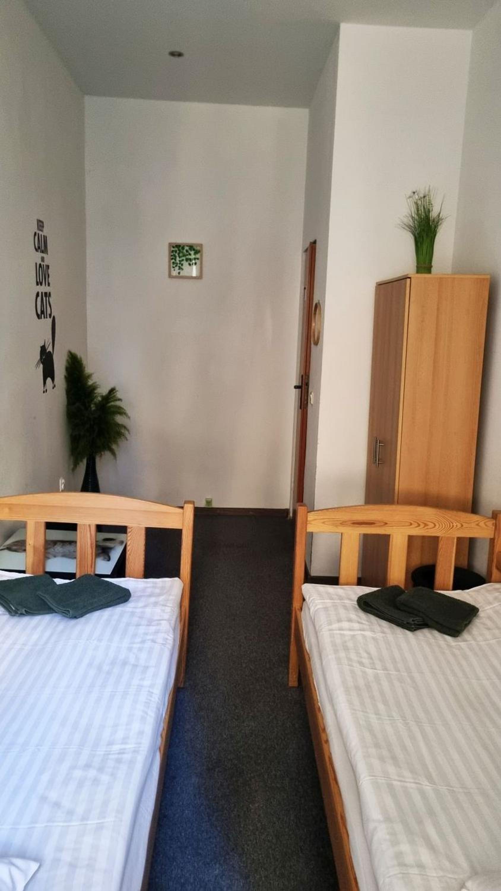 Green Cat Rooms - Image 5