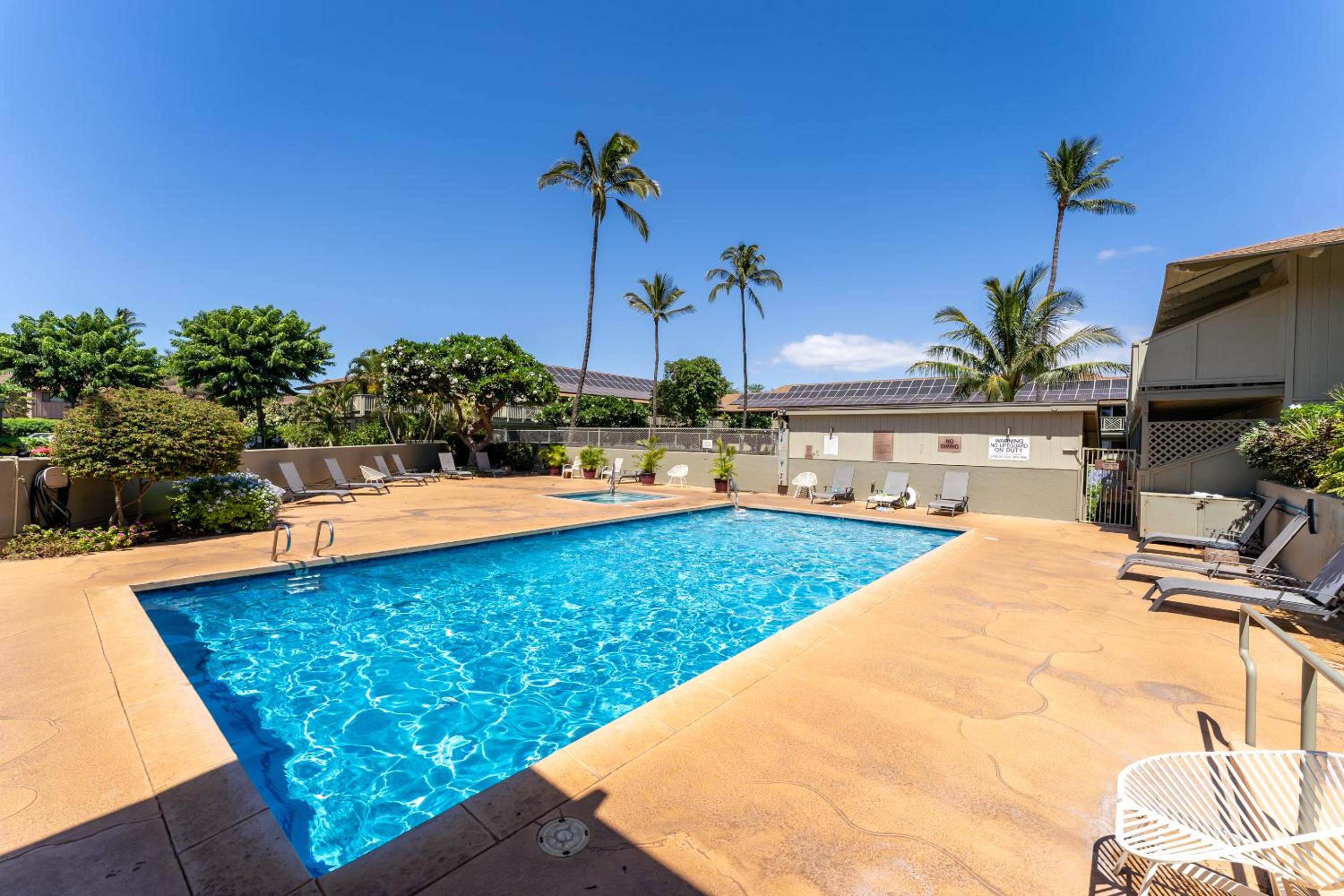 Kihei Bay Surf B113